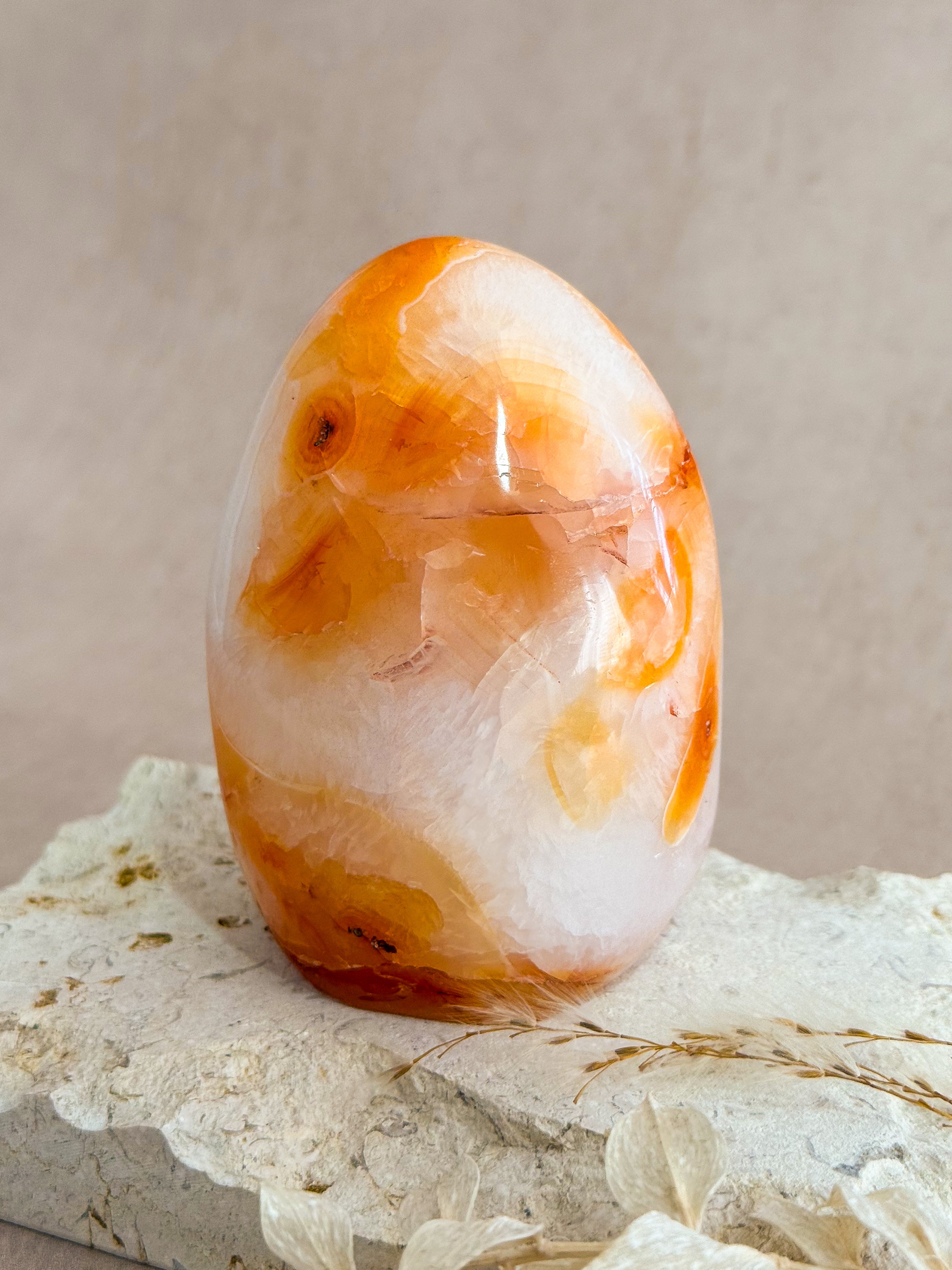 Carnelian Freeform | Madagascar