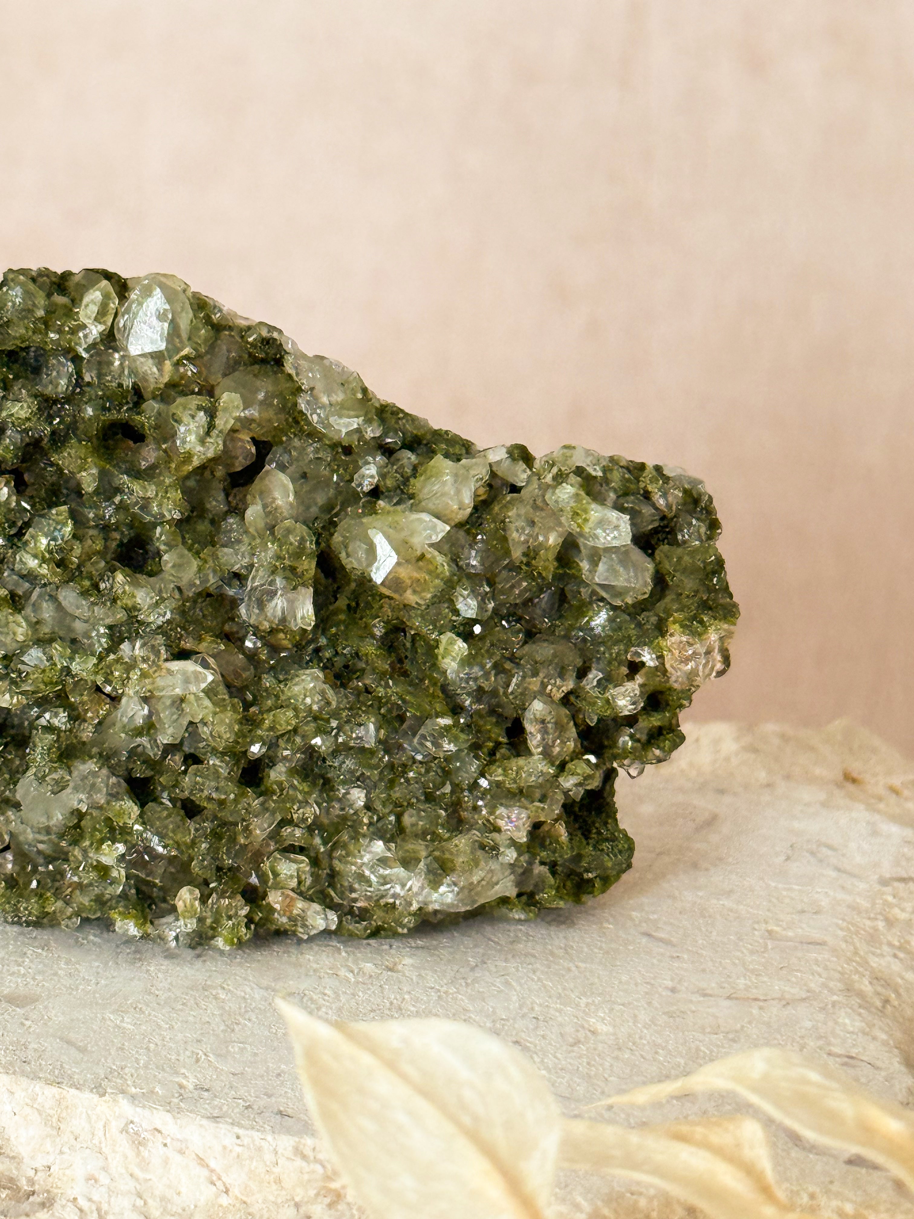 Forest Epidote in Quartz | Turkey