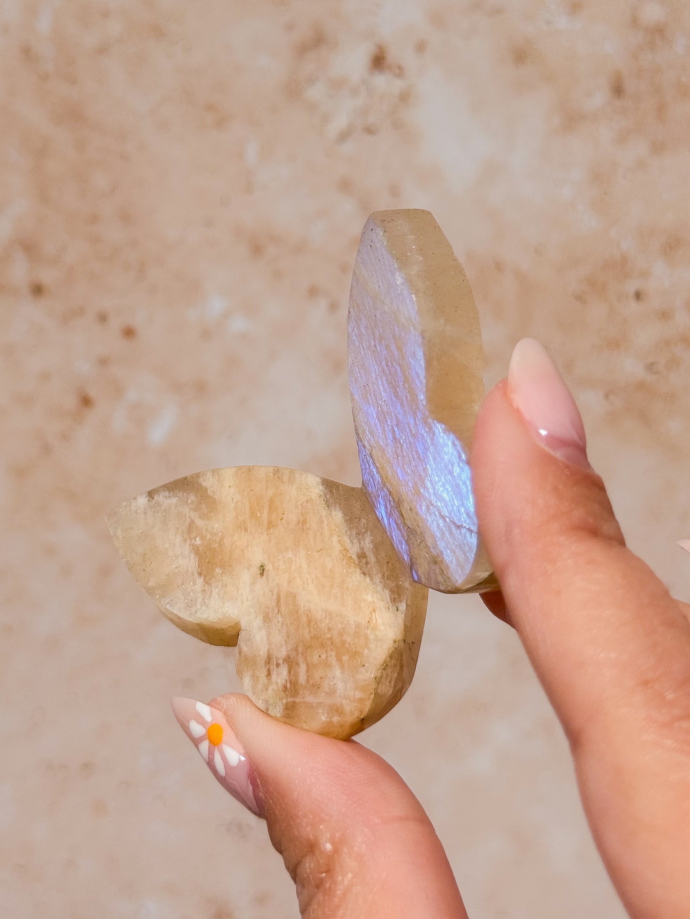 Tanzanian Moonstone 3D Butterfly Carving with Flash D | Tanzania