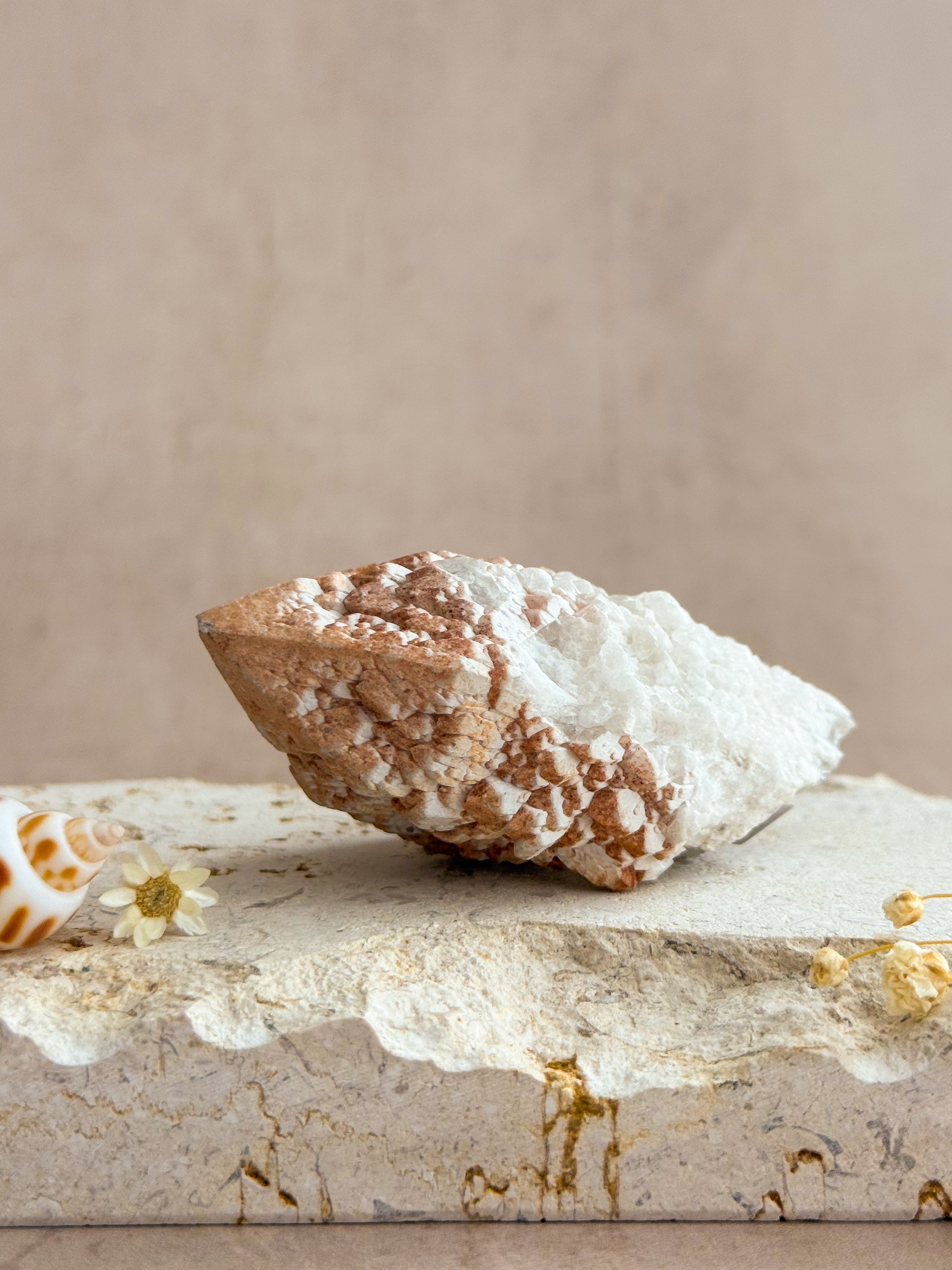 Abundance Quartz | Brazil