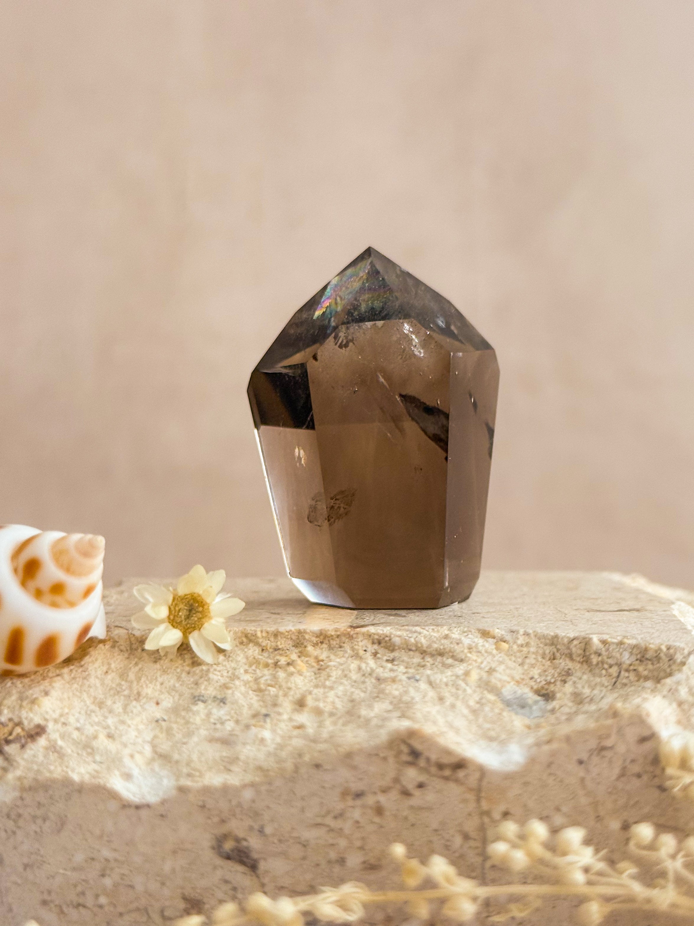Smoky Lemurian Quartz Point With Rainbows D | Brazil