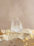 Part Polished Lemurian Point | Brazil