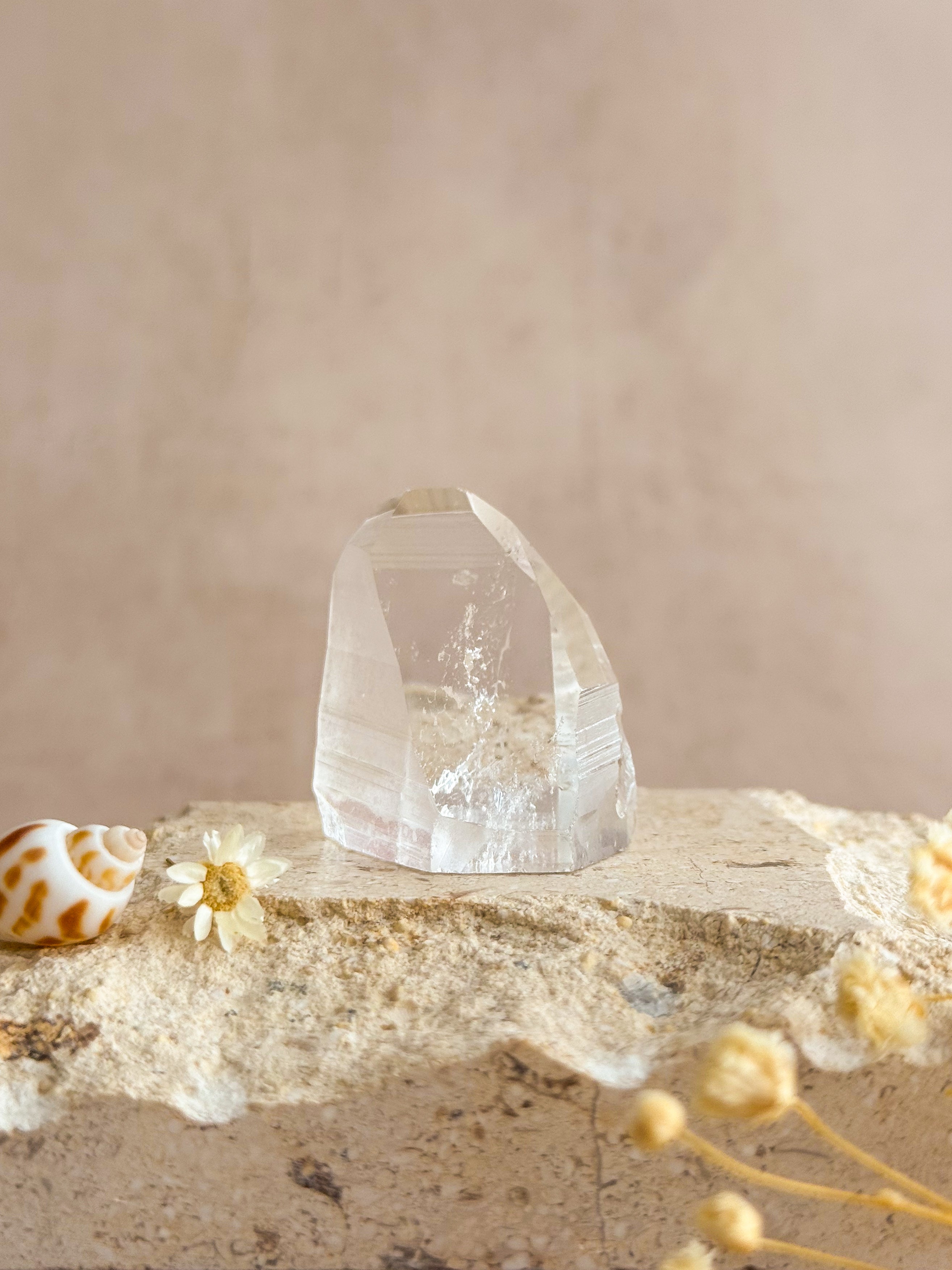 Part Polished Lemurian Point | Brazil
