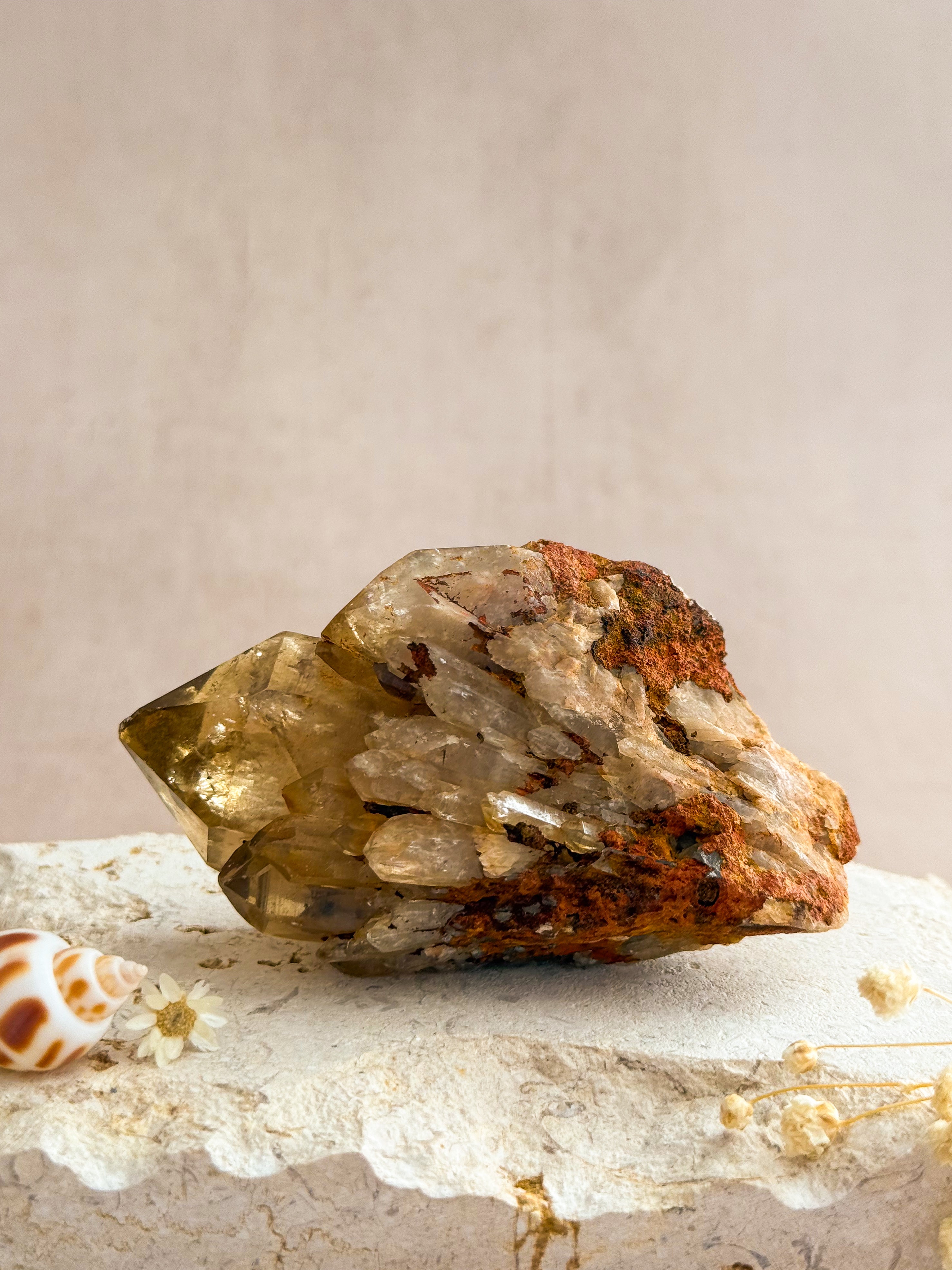 Kundalini Citrine B | Congo