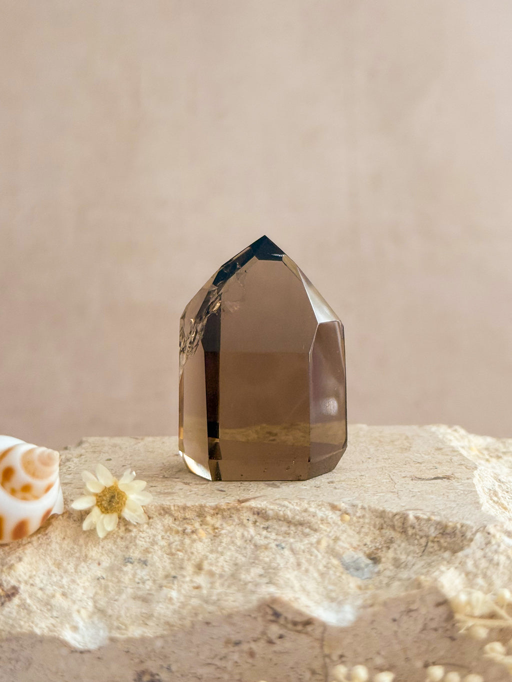 Smoky Lemurian Quartz Point With Rainbows B | Brazil