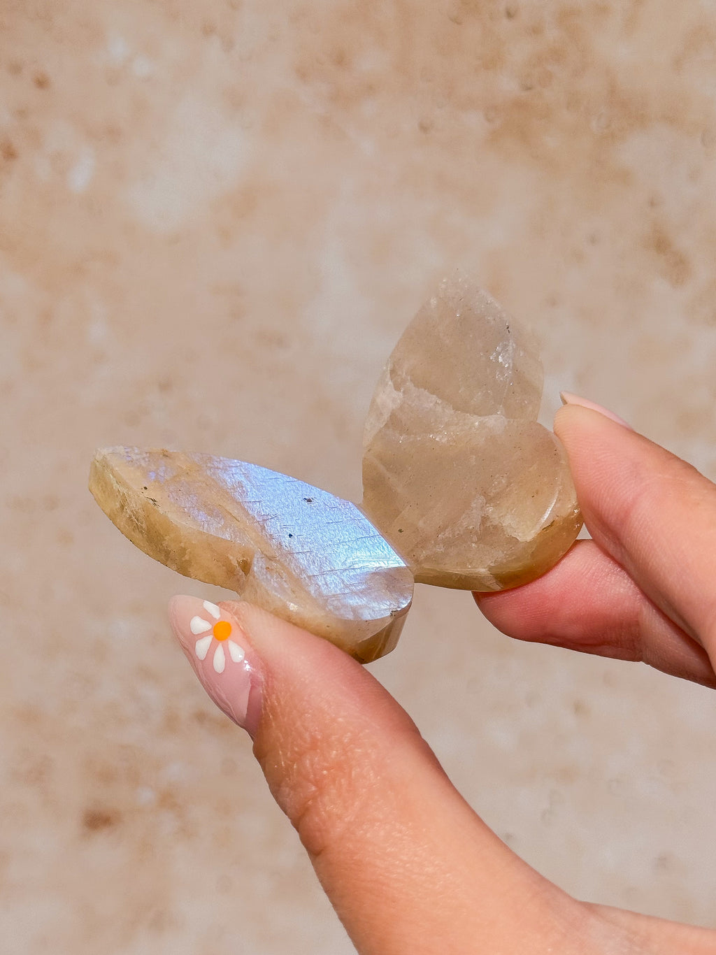Tanzanian Moonstone 3D Butterfly Carving with Flash E | Tanzania