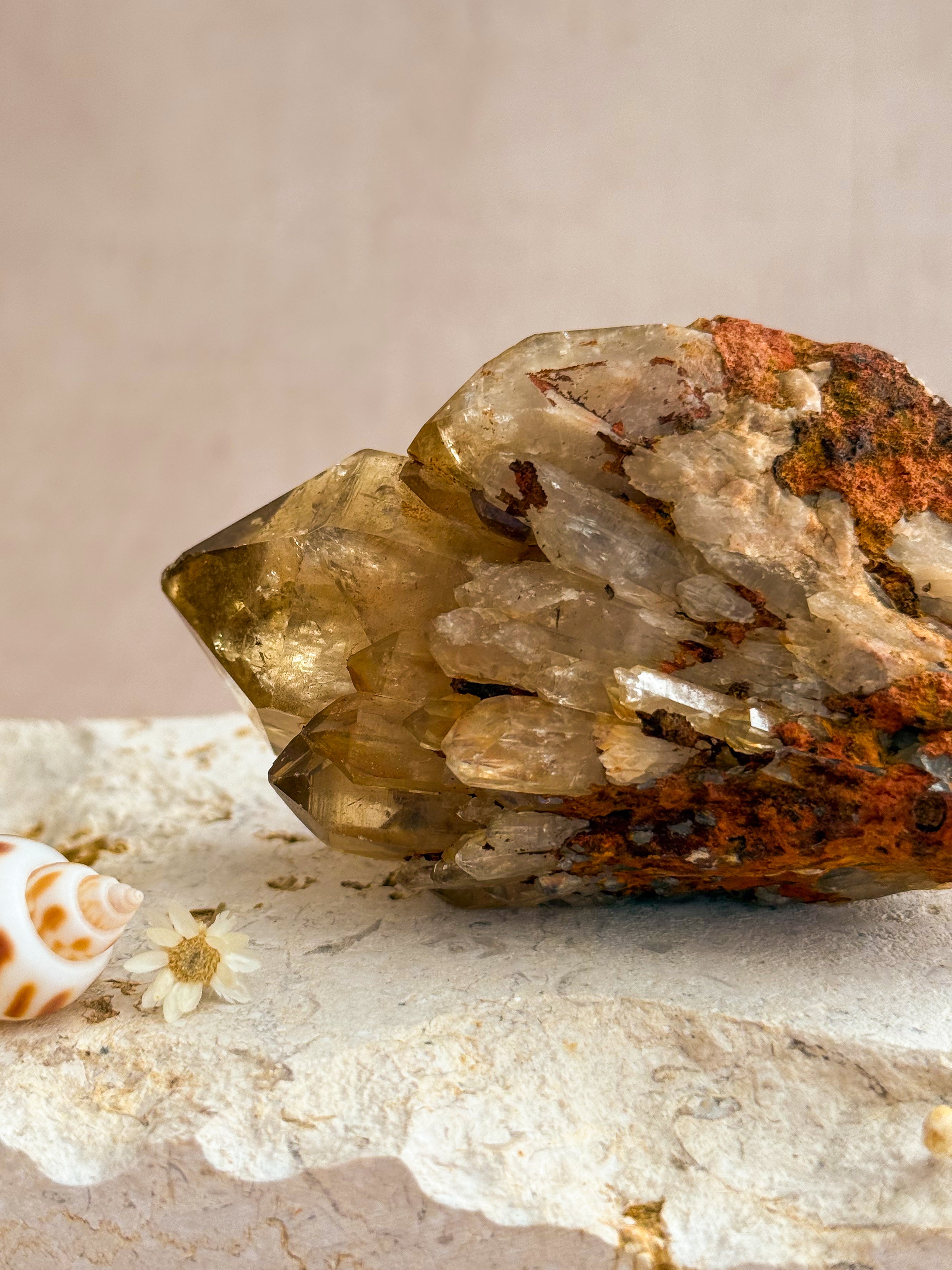 Kundalini Citrine B | Congo