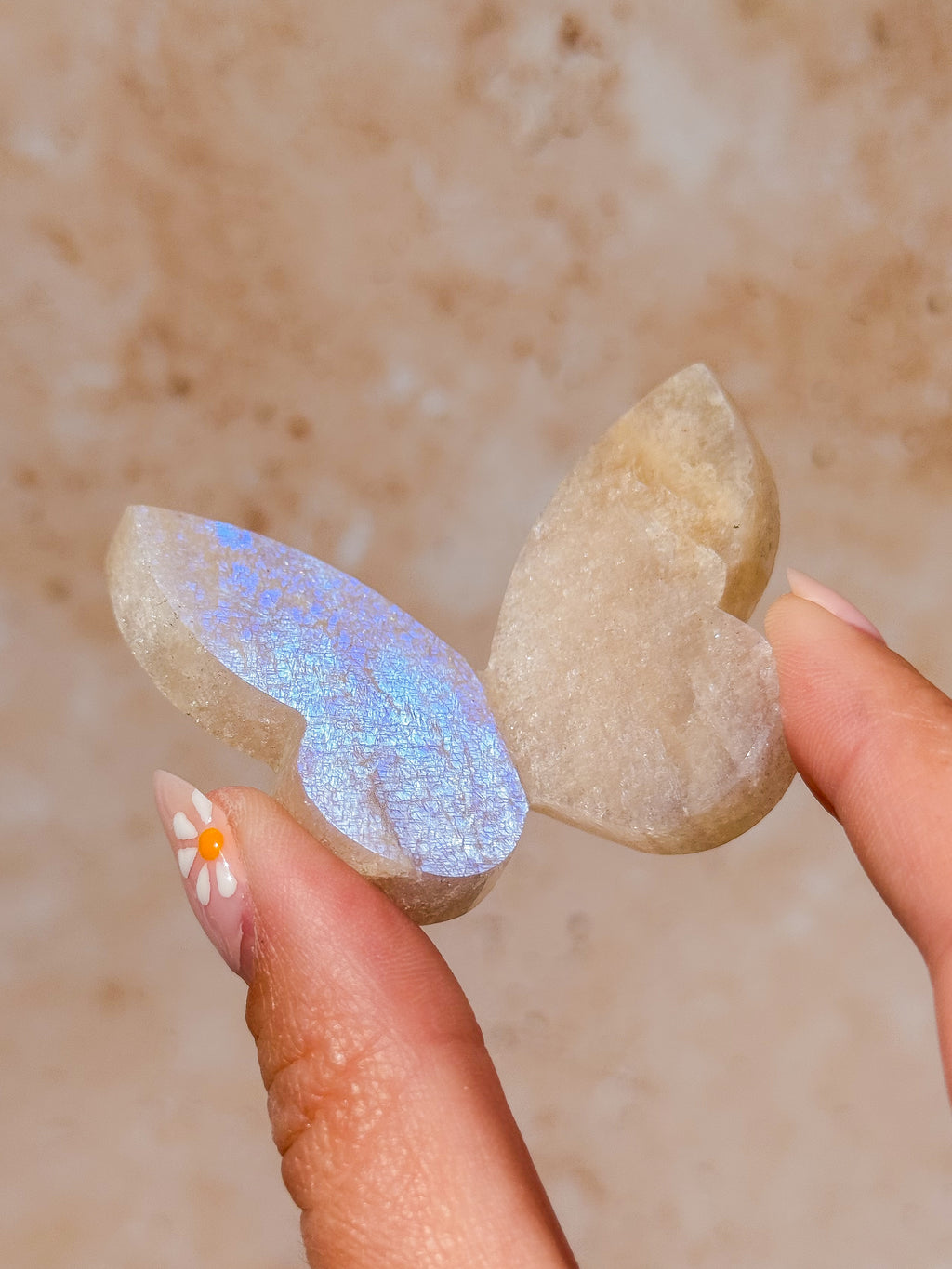Tanzanian Moonstone 3D Butterfly Carving with Flash B | Tanzania