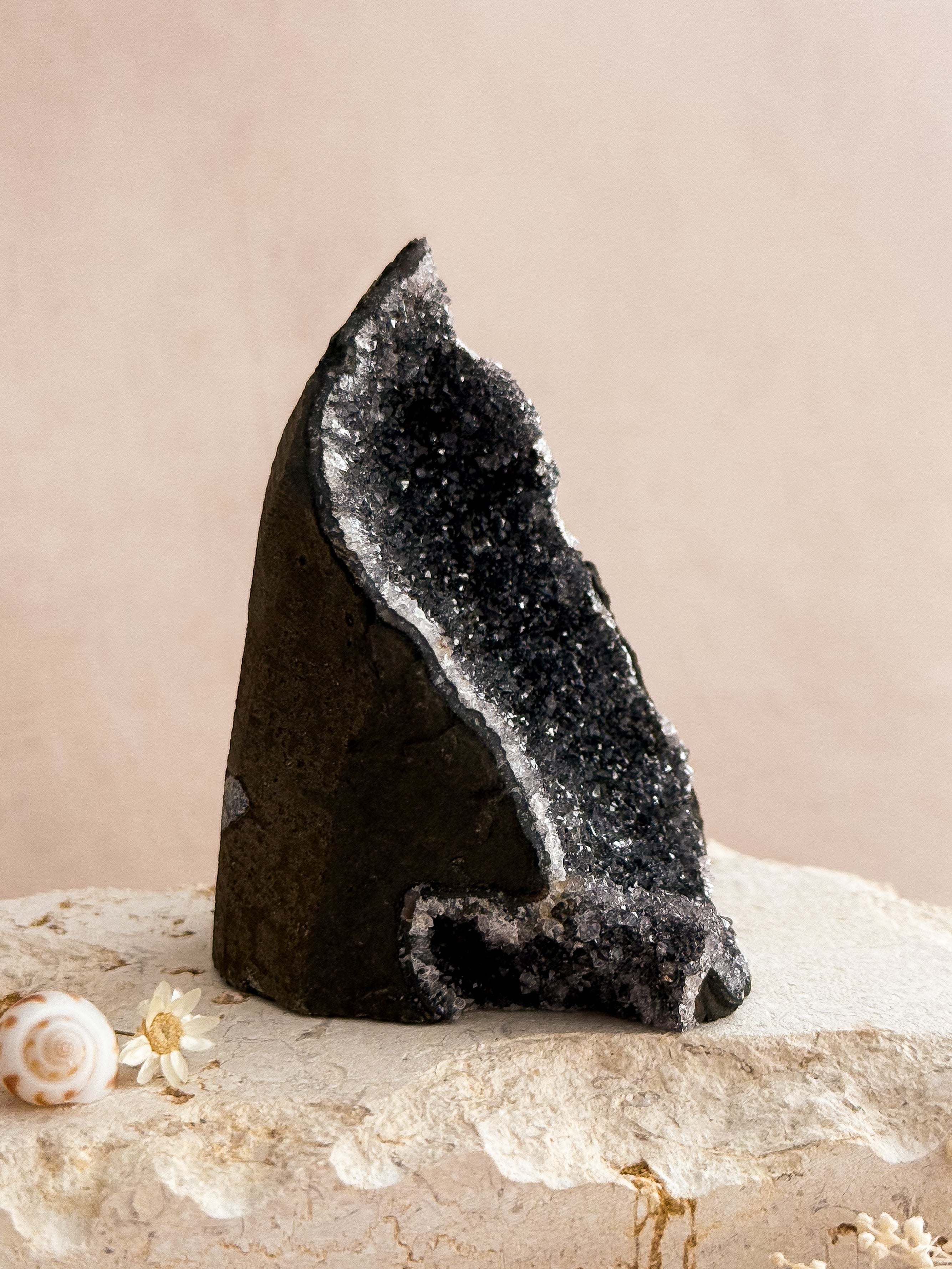 Black Amethyst Cut Base A | Uruguay