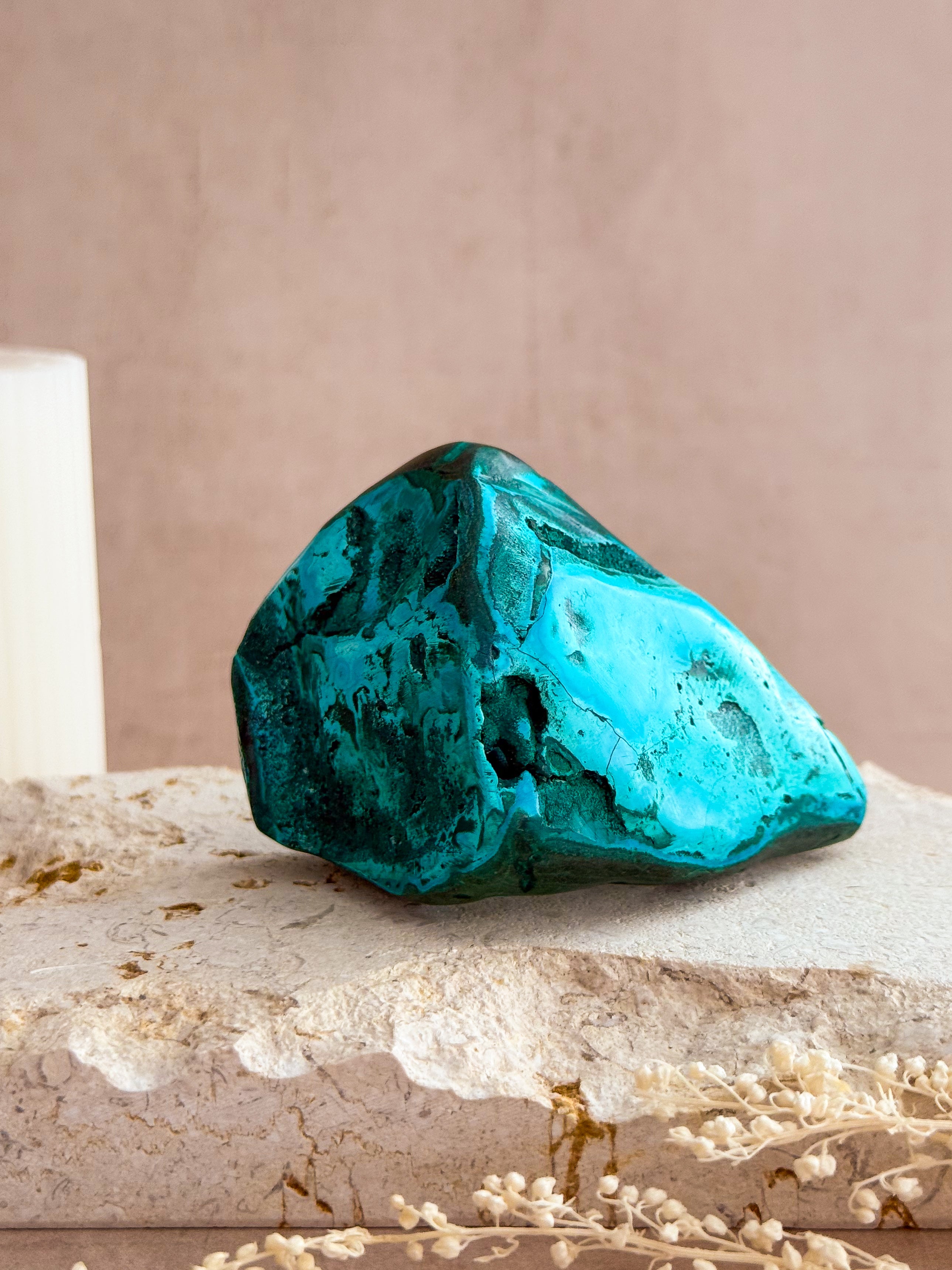 Malacolla Freeform | Congo
