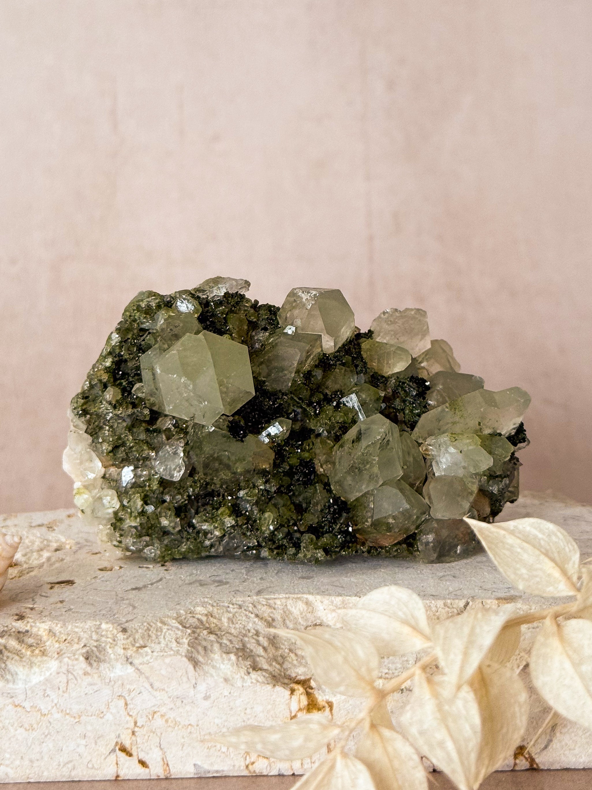 Forest Epidote in Quartz | Turkey