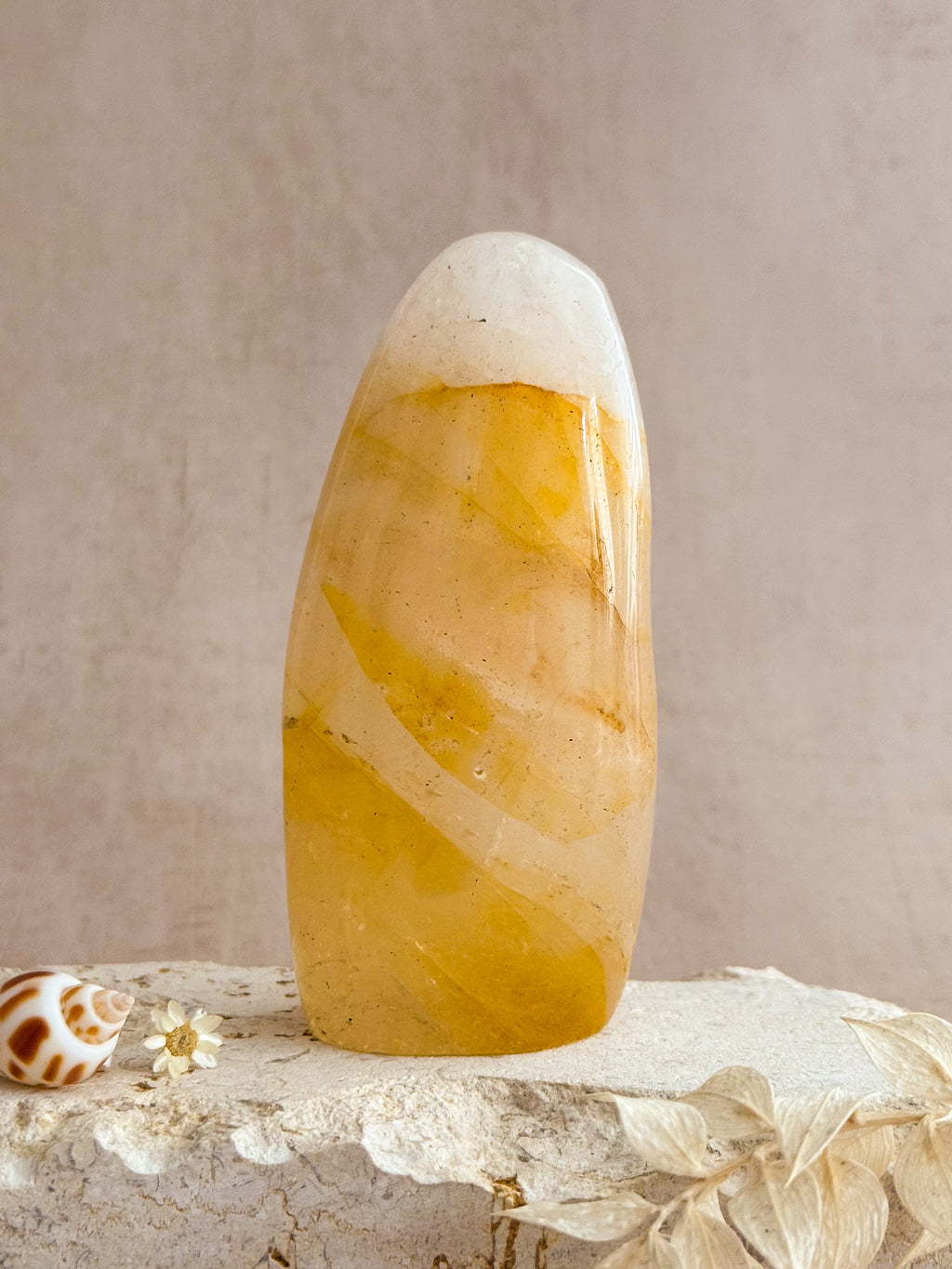 Golden Healer Freeform | Madagascar