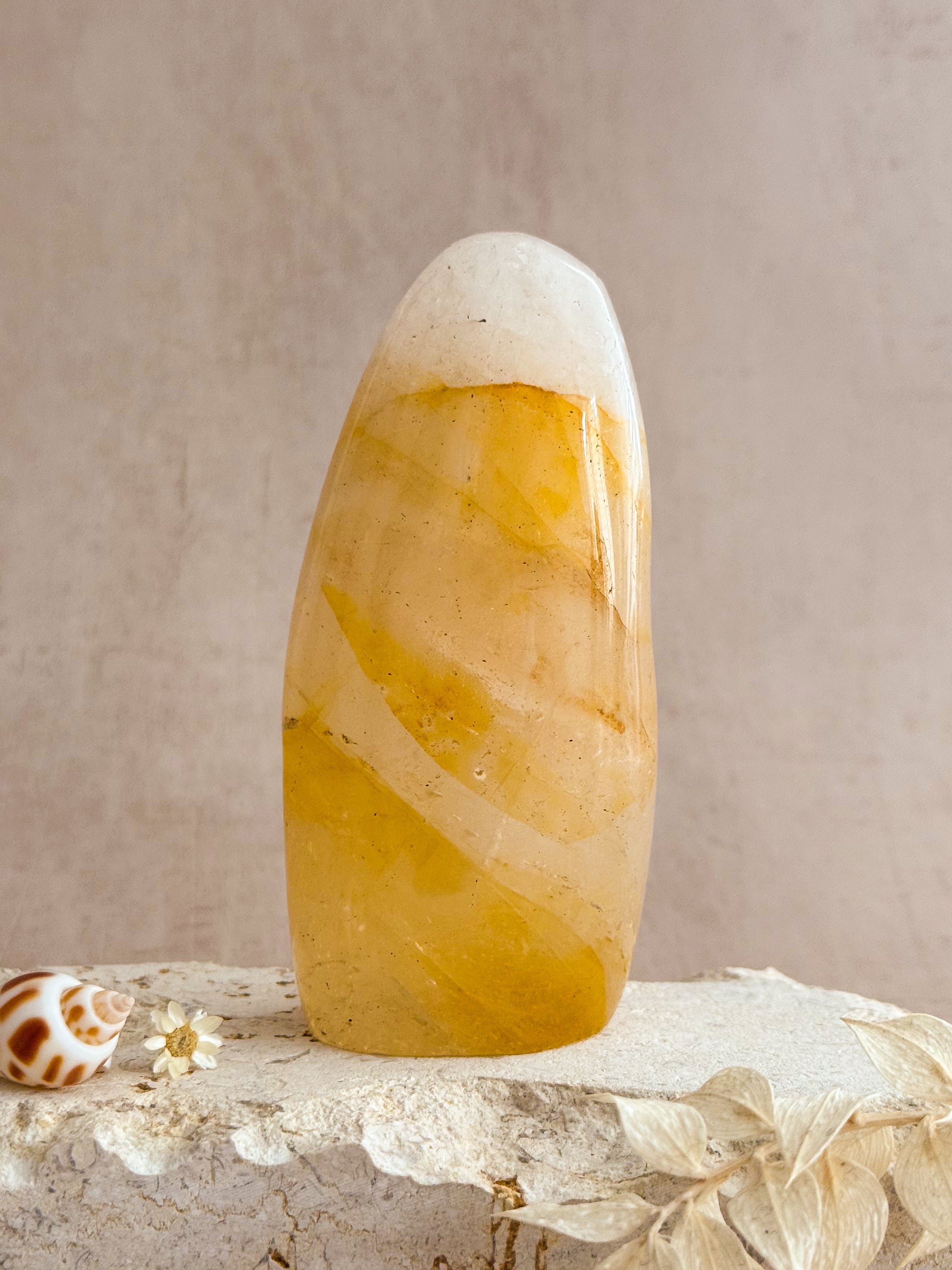 Golden Healer Freeform | Madagascar