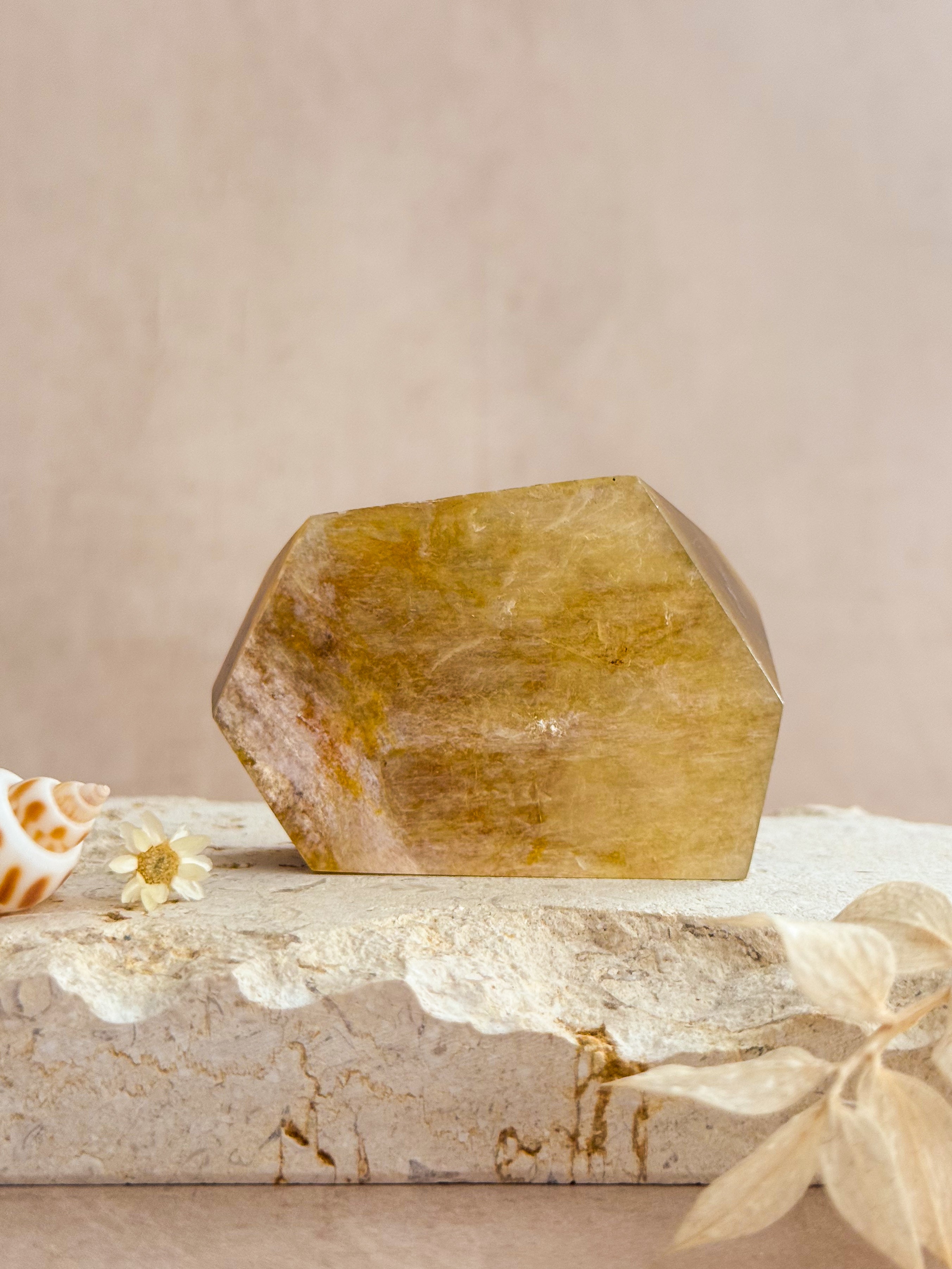 Golden Mica Faceted Freeform B | Brazil