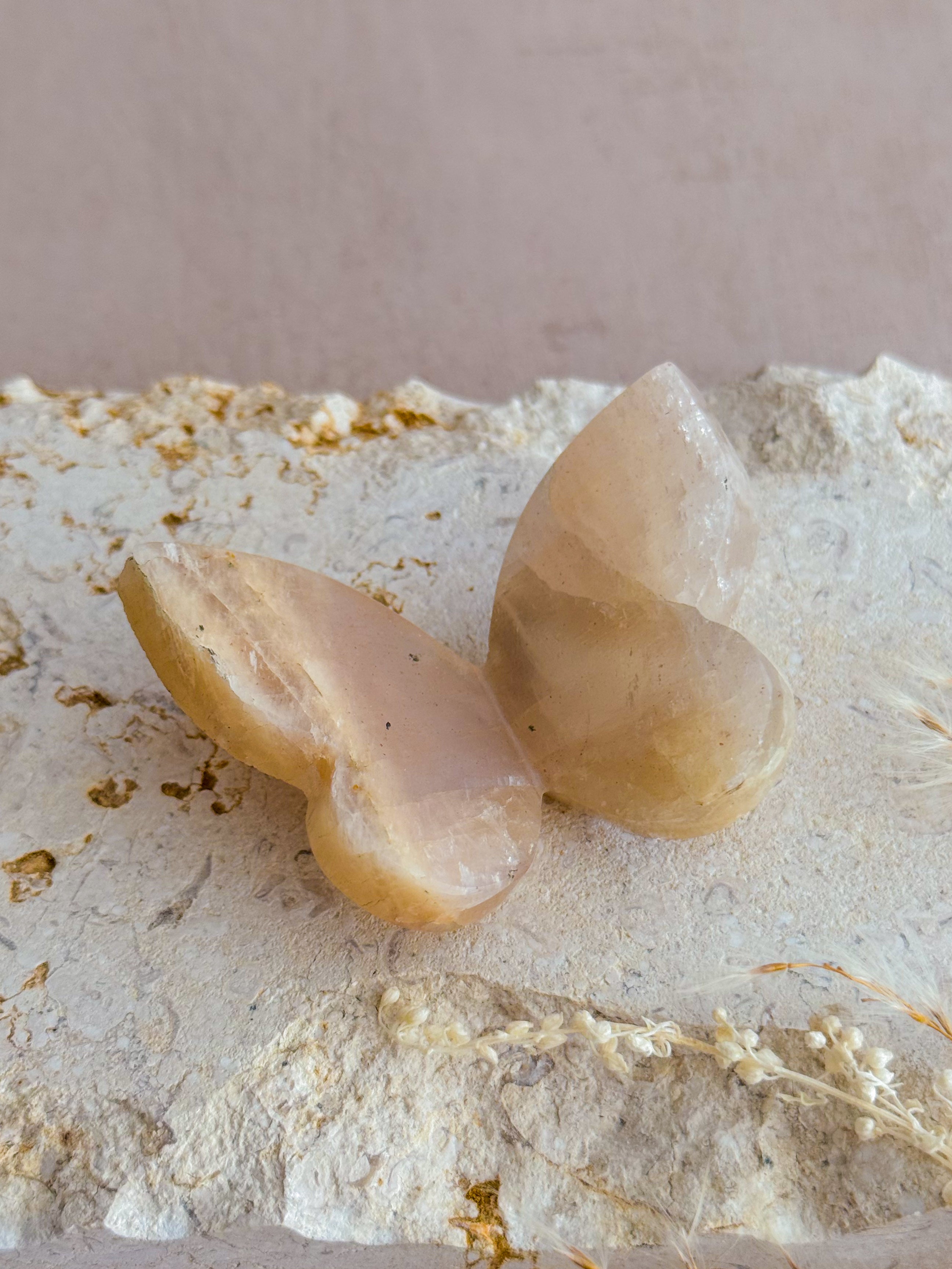 Tanzanian Moonstone 3D Butterfly Carving with Flash E | Tanzania