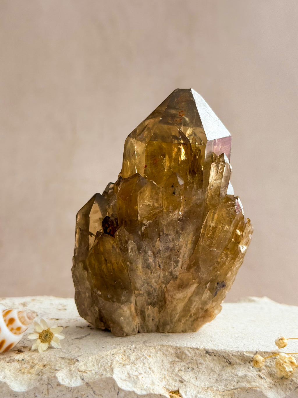 Kundalini Citrine C | Congo