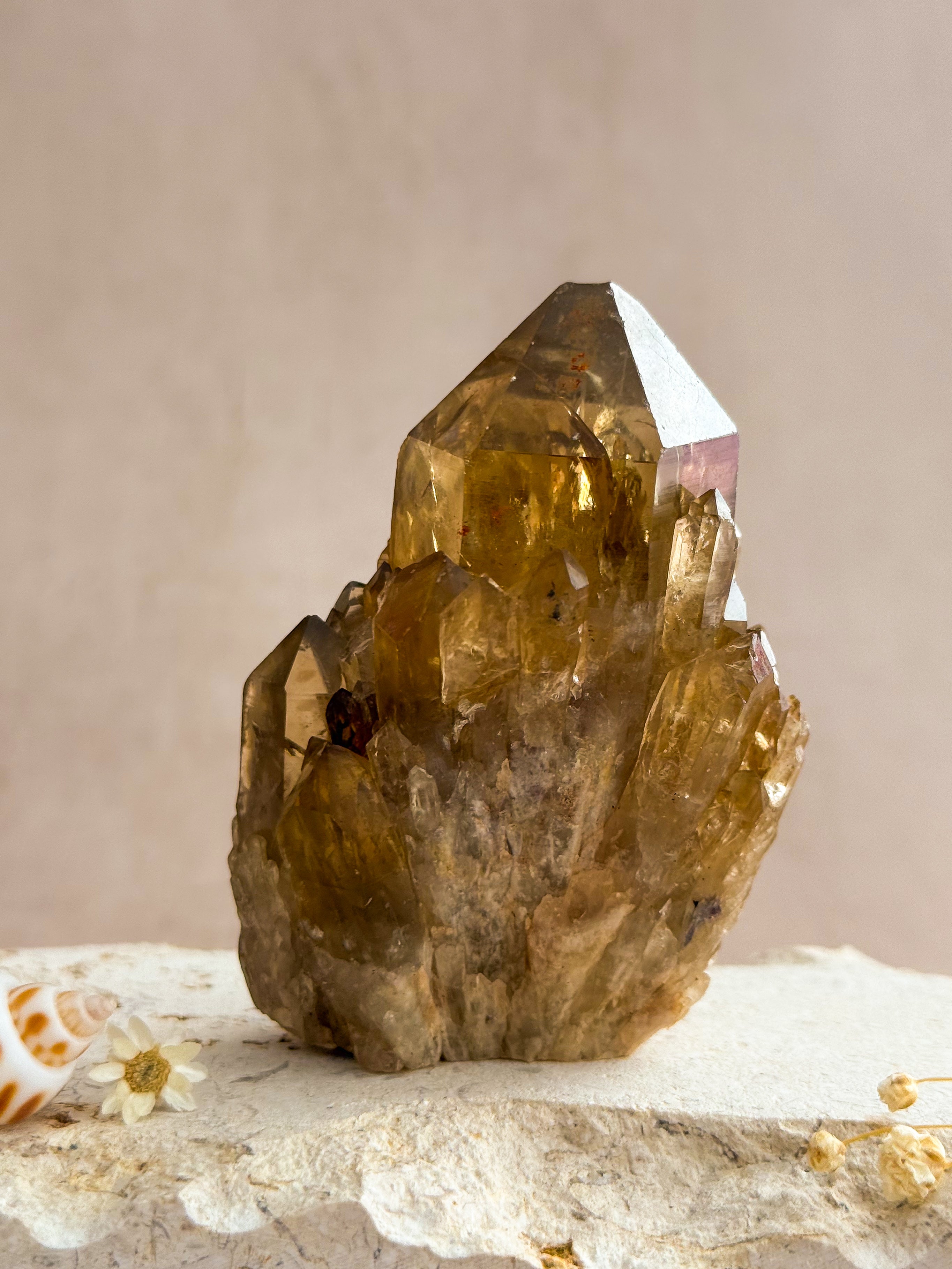 Kundalini Citrine C | Congo