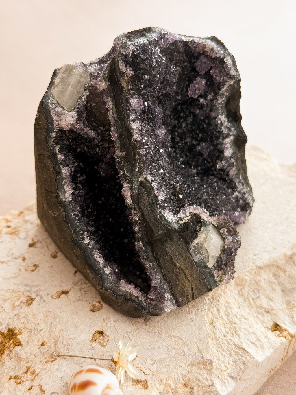 Black Amethyst Cut Base B | Uruguay