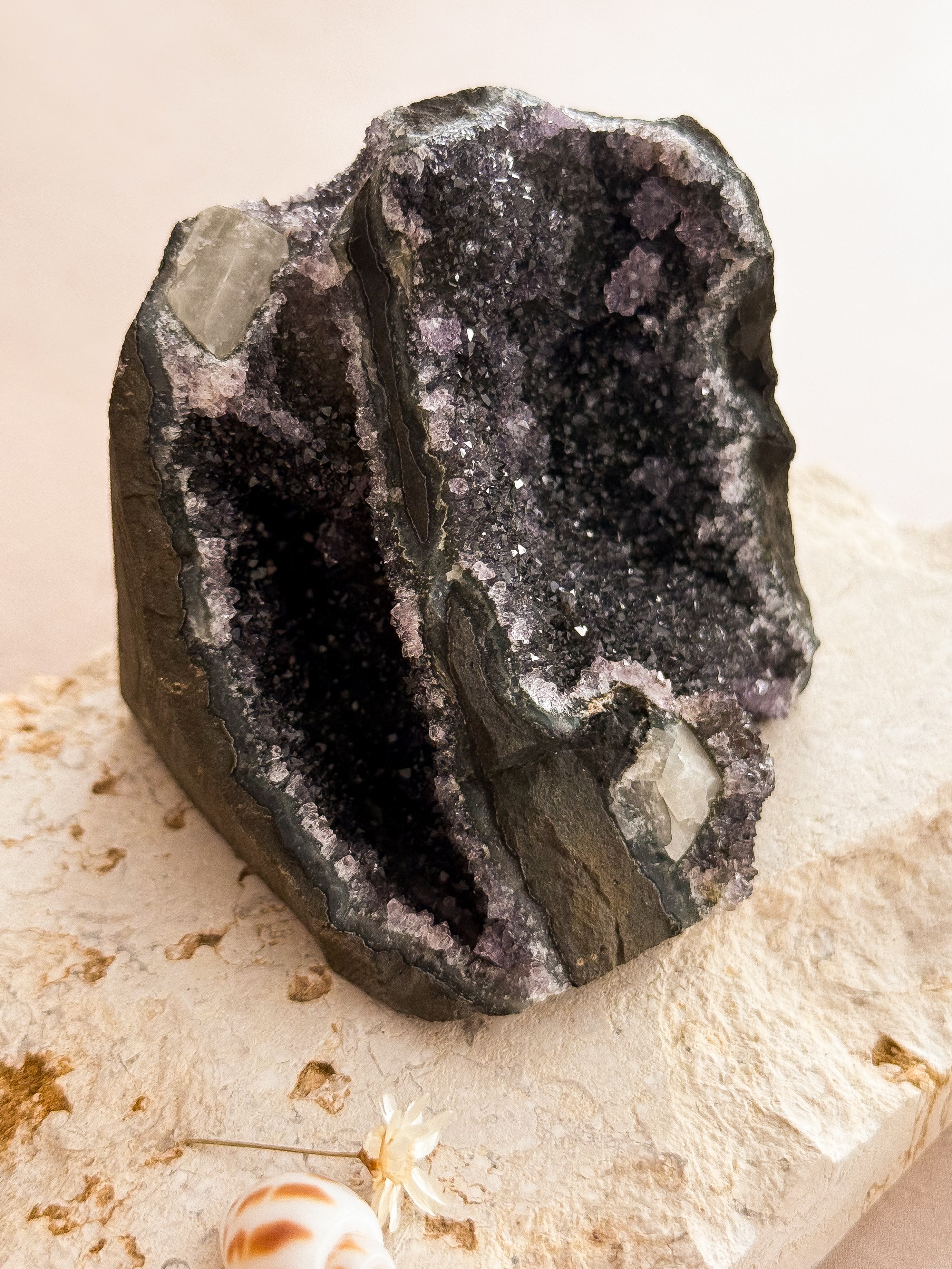 Black Amethyst Cut Base B | Uruguay