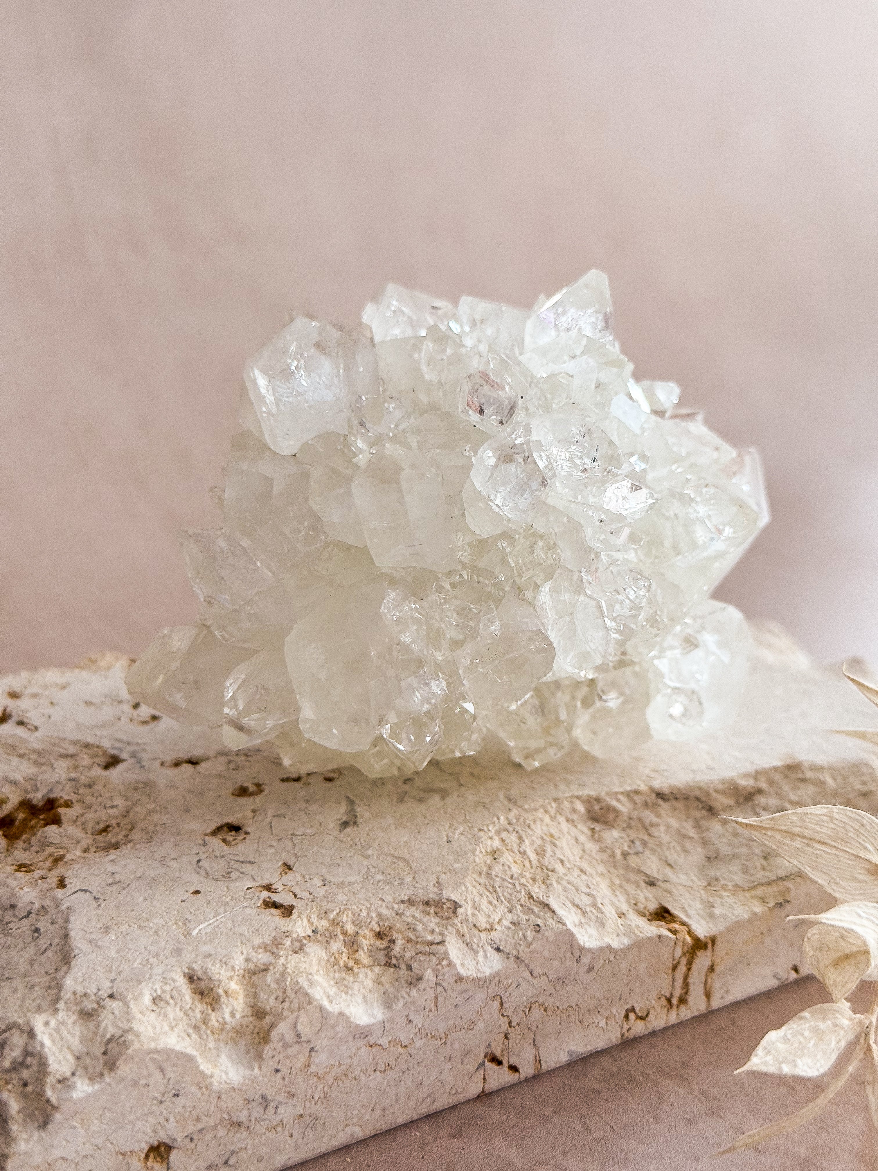 Diamond Apophyllite Cluster | India