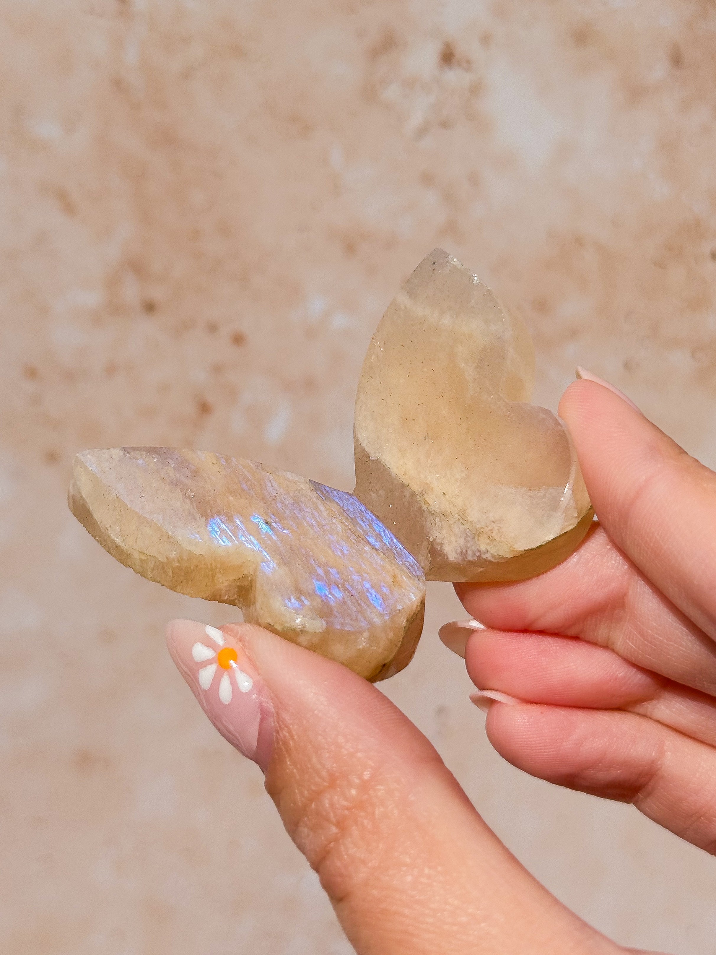 Tanzanian Moonstone 3D Butterfly Carving with Flash D | Tanzania