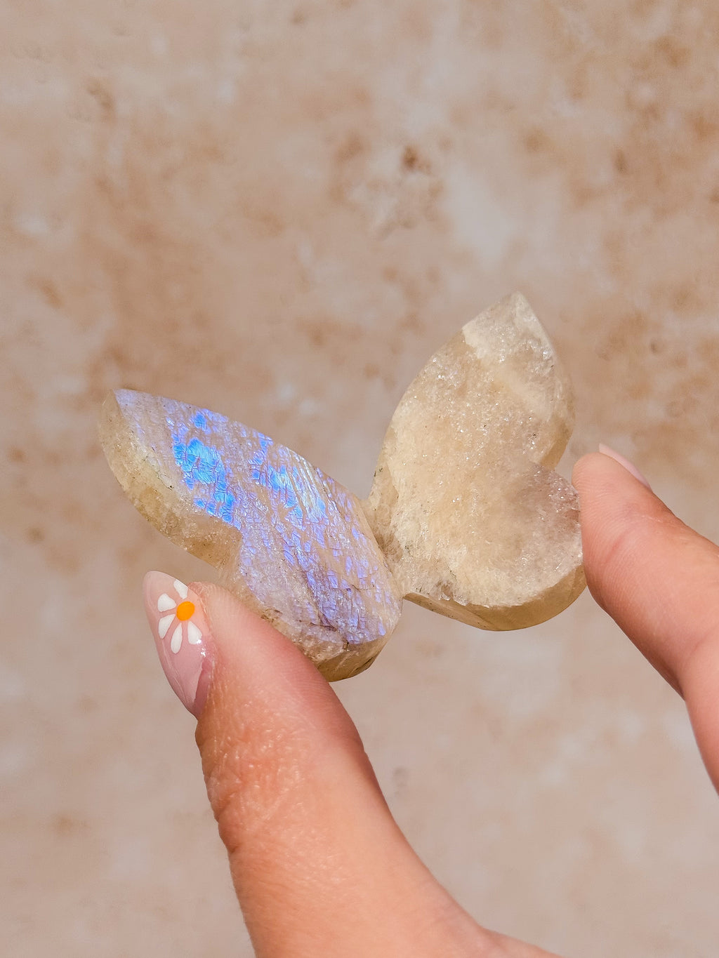 Tanzanian Moonstone 3D Butterfly Carving with Flash A | Tanzania