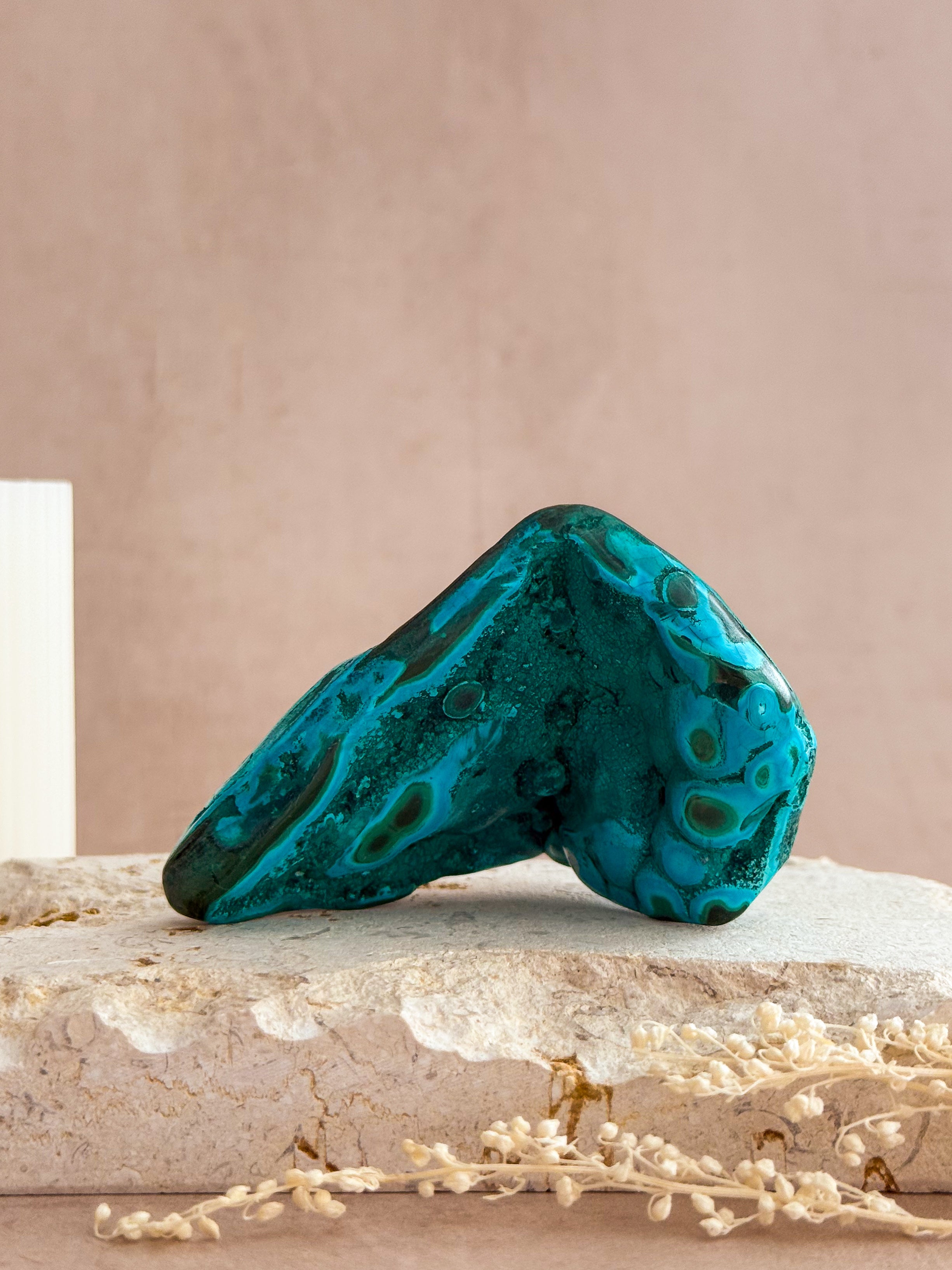 Malacolla Freeform | Congo