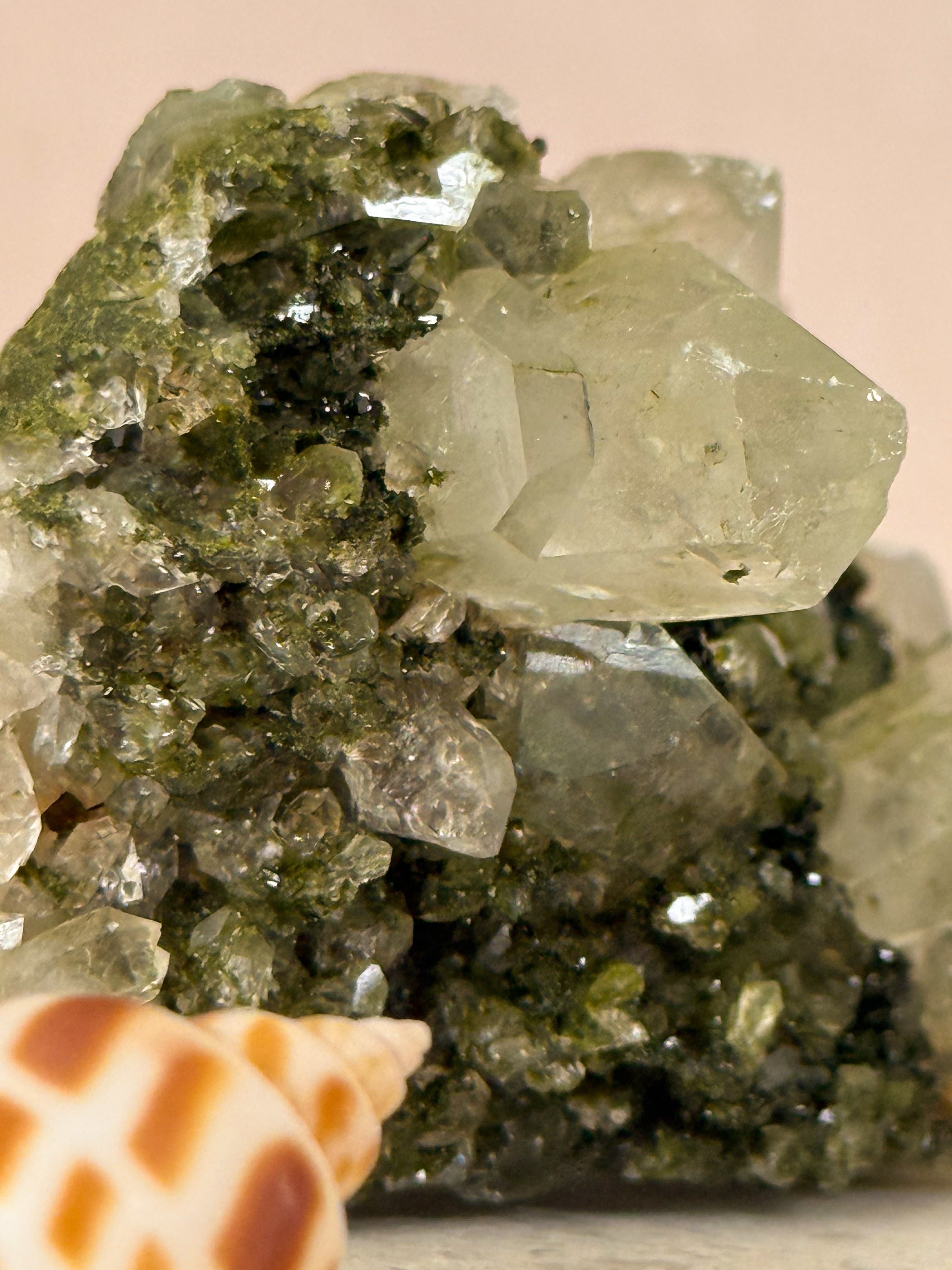 Forest Epidote in Quartz | Turkey