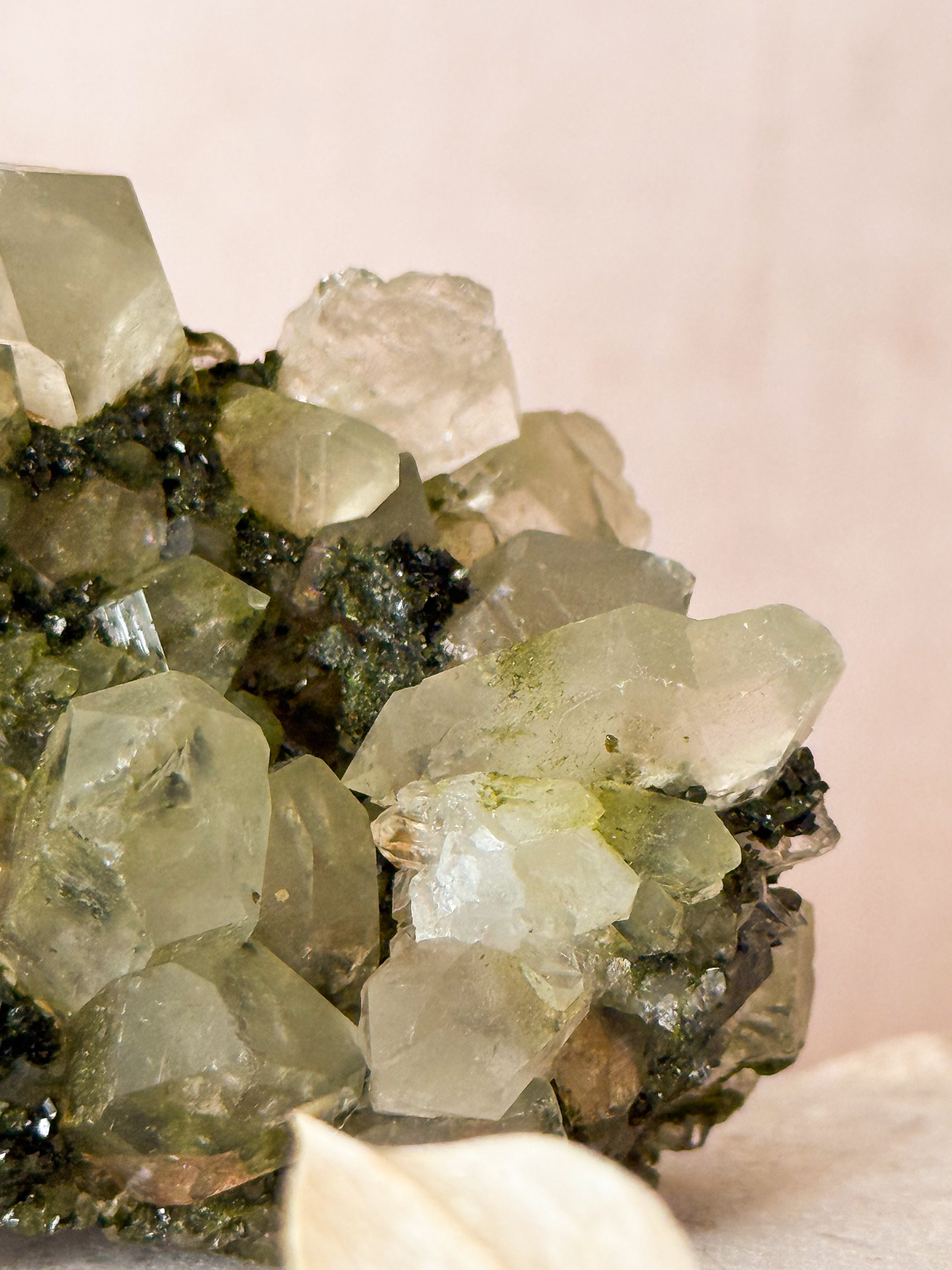 Forest Epidote in Quartz | Turkey