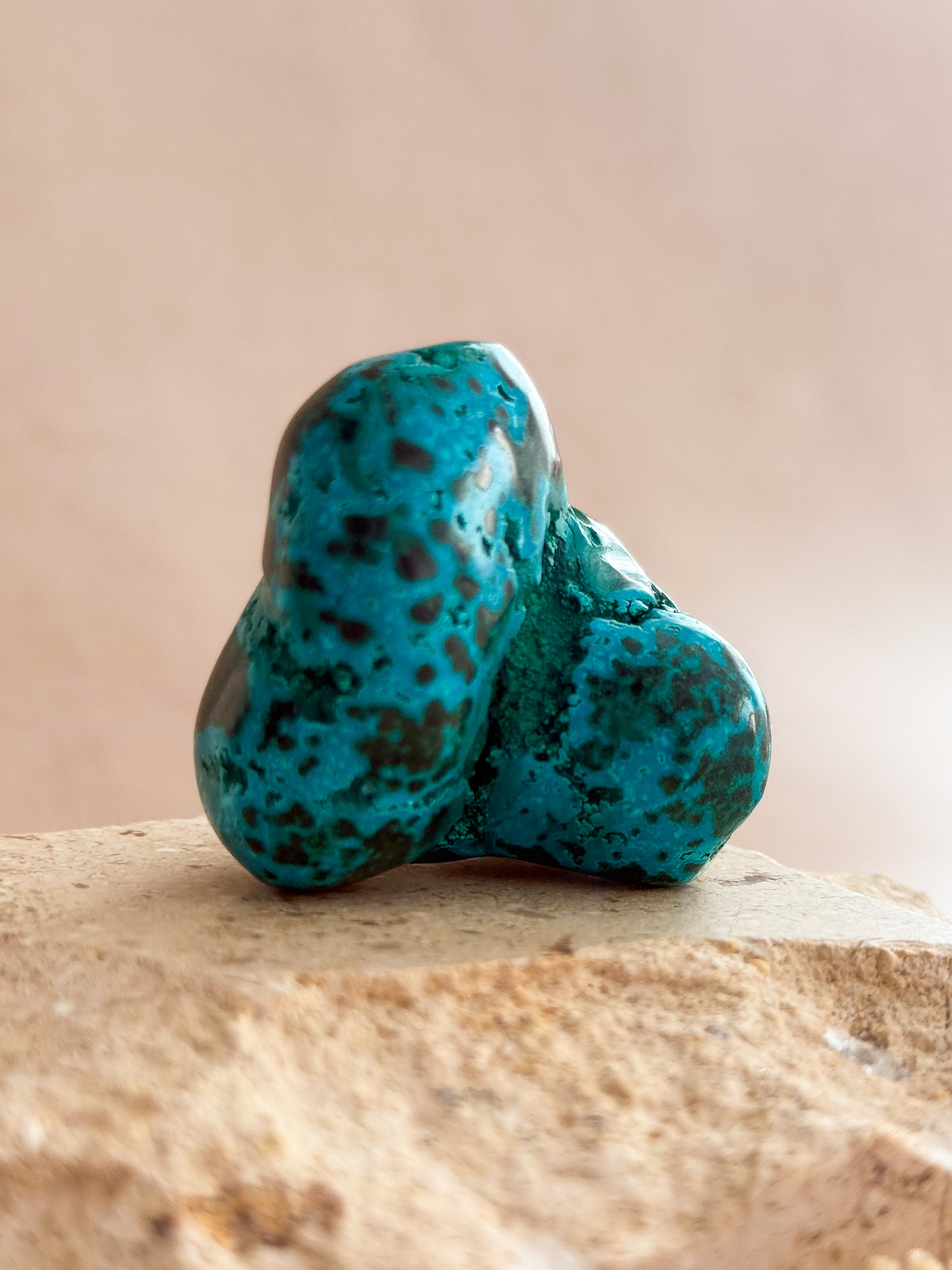 Malacolla Freeform | Congo