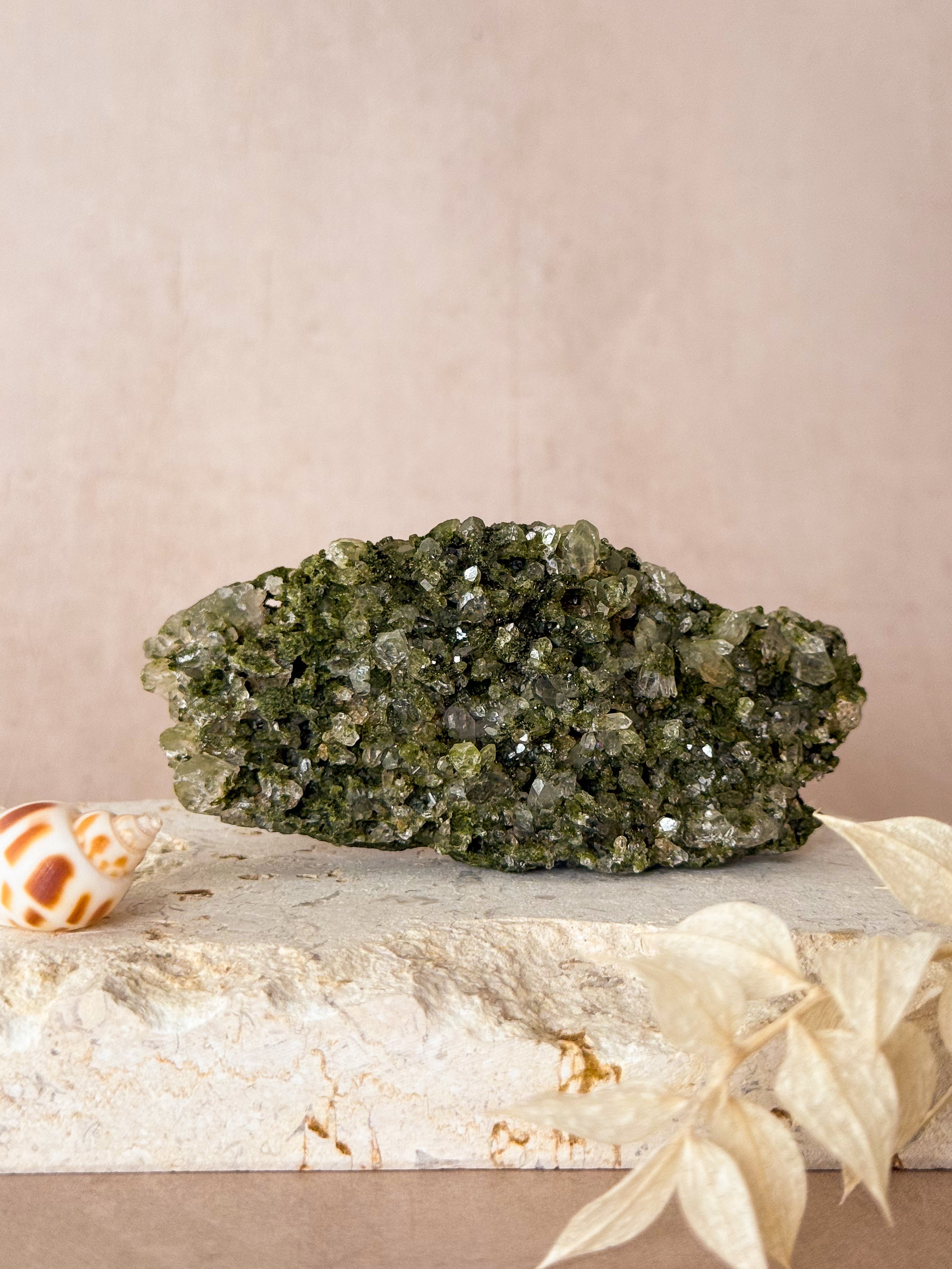 Forest Epidote in Quartz | Turkey