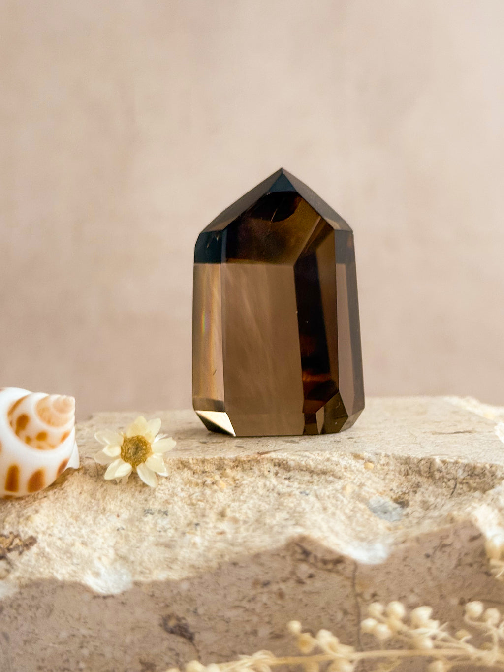 Smoky Lemurian Quartz Point With Rainbows E | Brazil