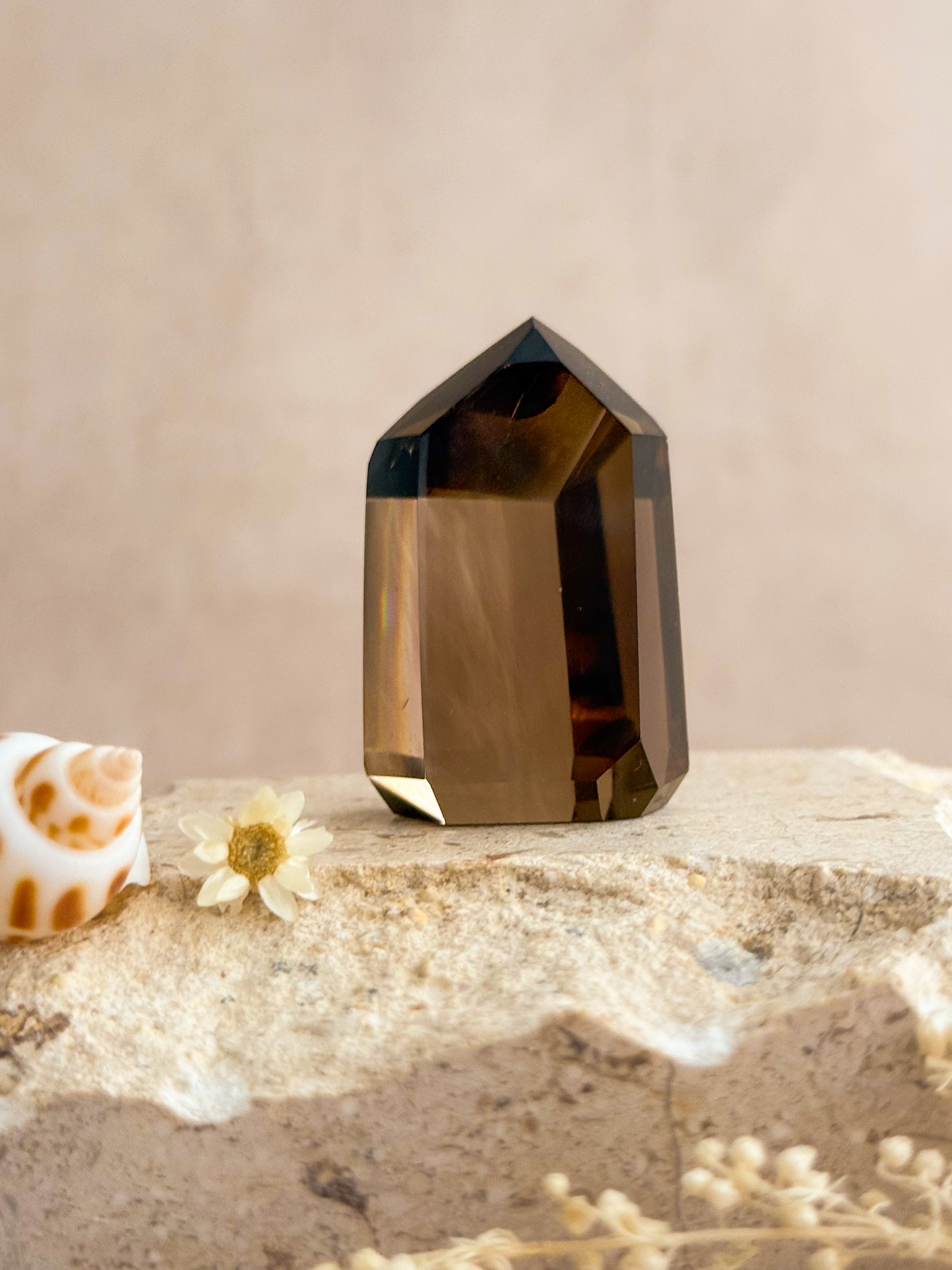 Smoky Lemurian Quartz Point With Rainbows E | Brazil