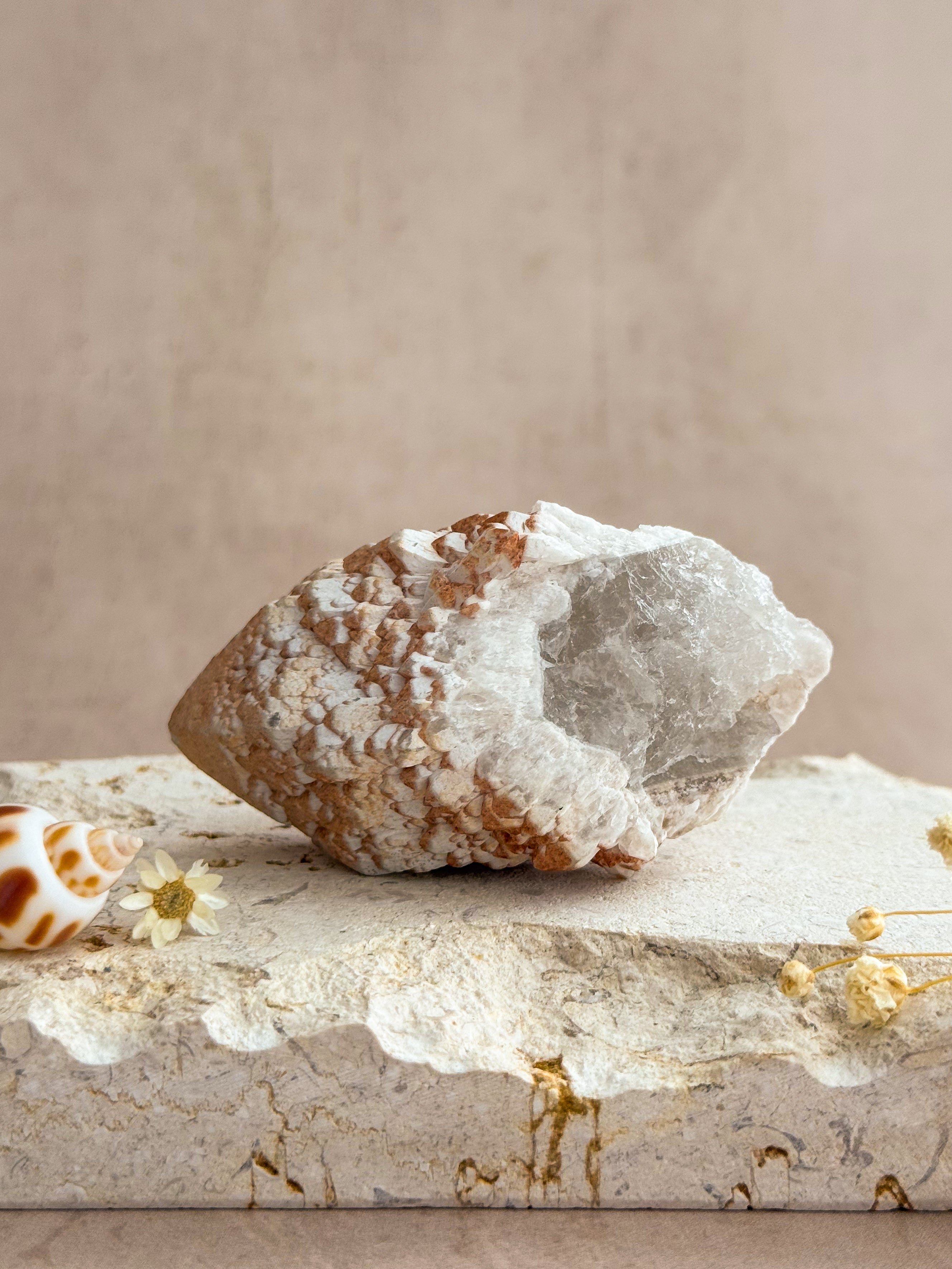 Abundance Quartz | Brazil