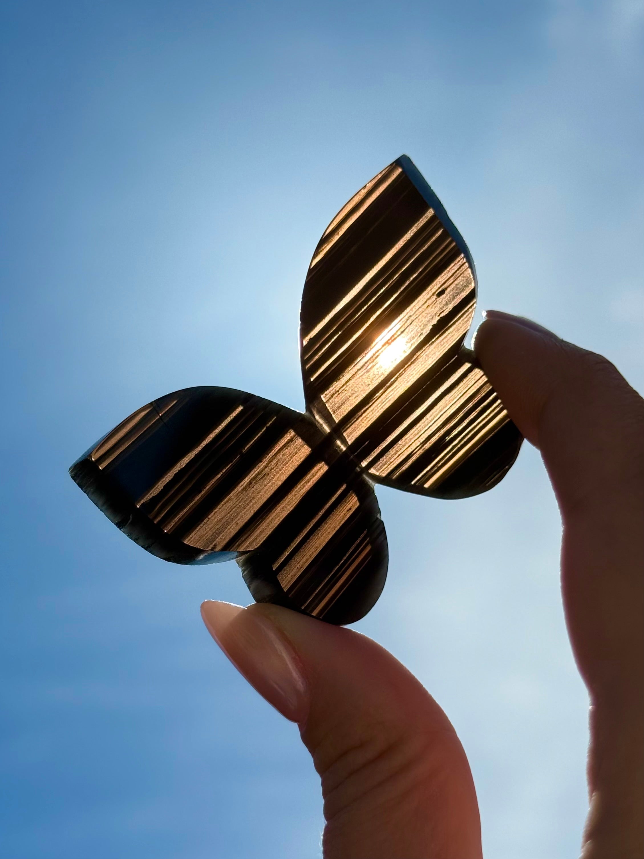 Midnight Lace Obsidian 3D Butterfly Carving B | Armenia