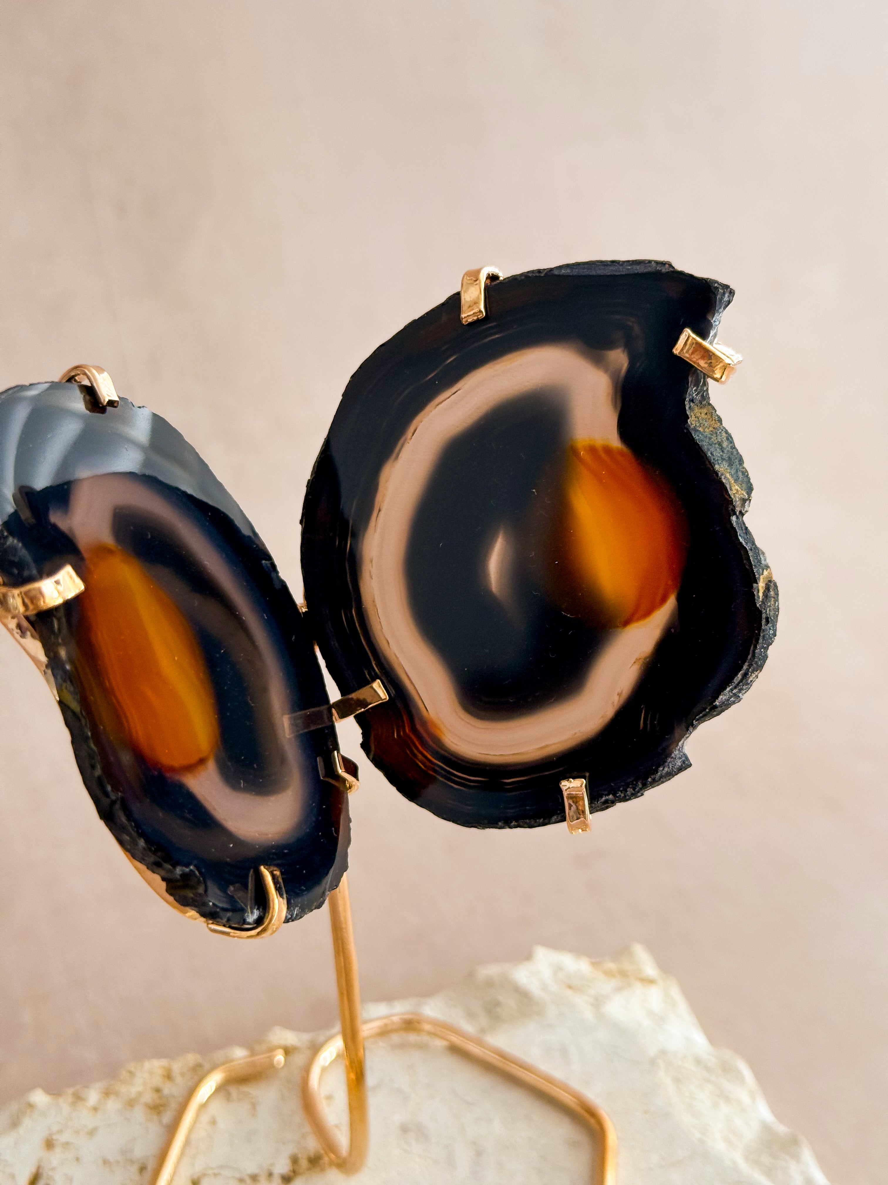 Agate Butterfly on Gold Stand | Brazil