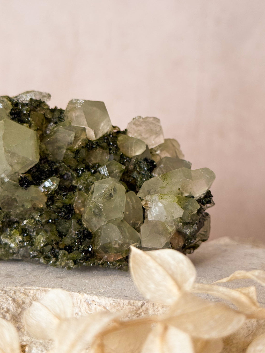 Forest Epidote in Quartz | Turkey