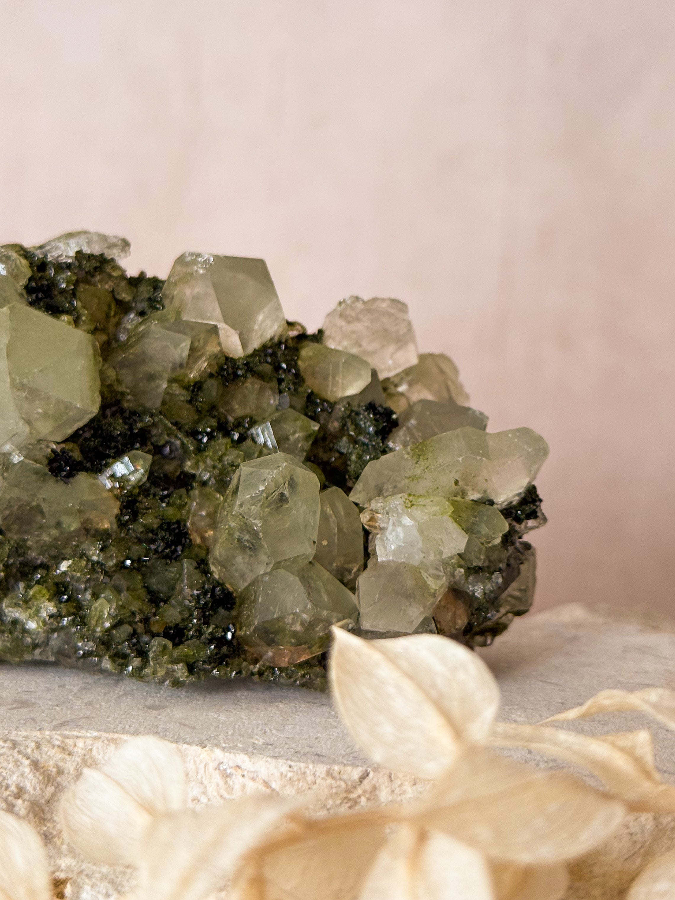 Forest Epidote in Quartz | Turkey