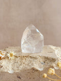 Part Polished Lemurian Point | Brazil