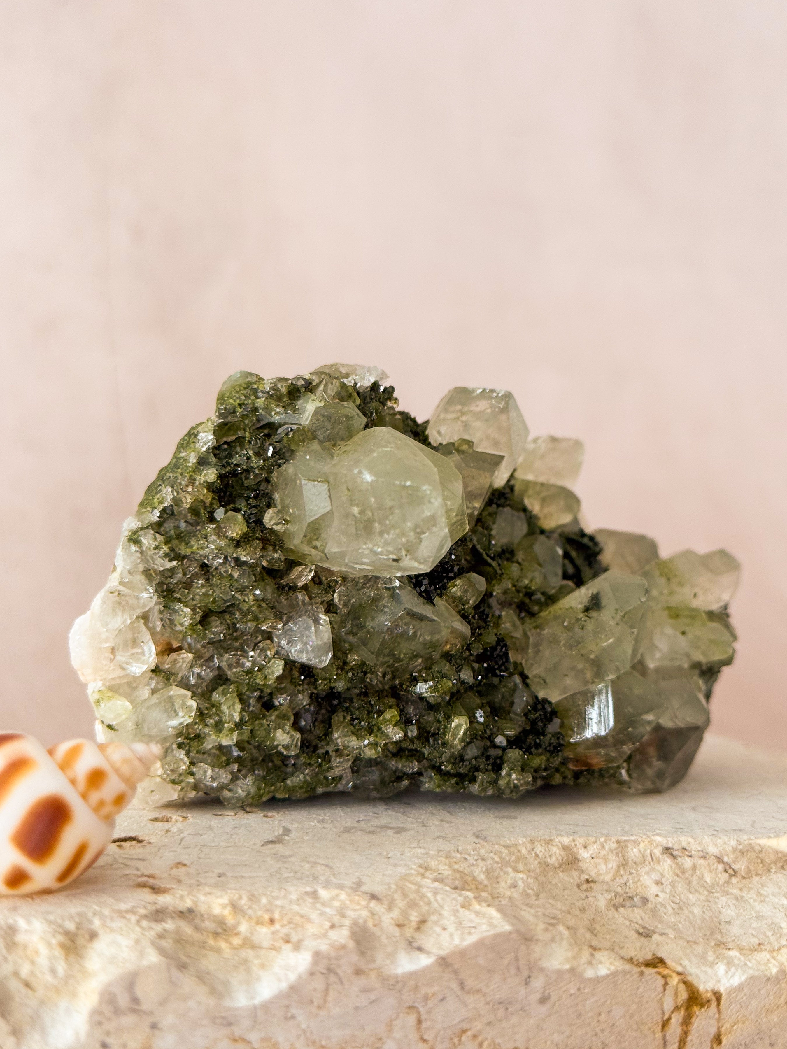Forest Epidote in Quartz | Turkey