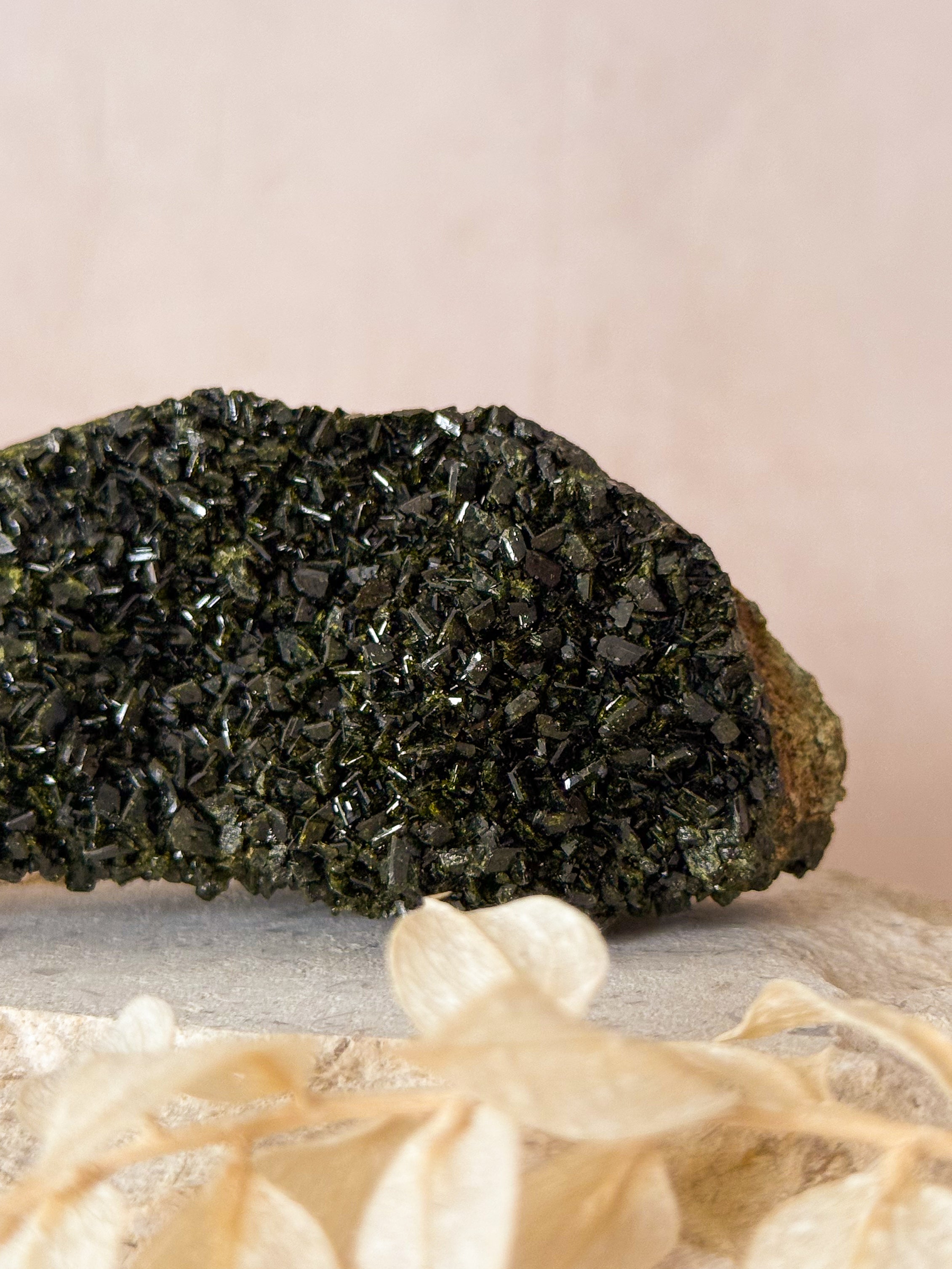 Forest Epidote in Quartz | Turkey