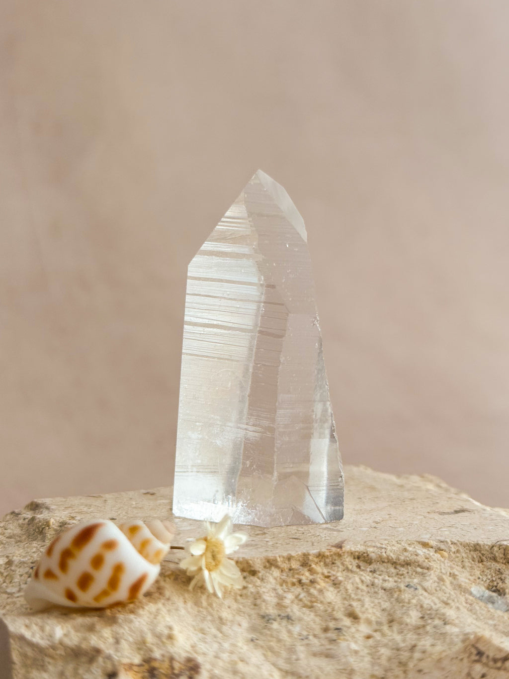 Part Polished Lemurian Point | Brazil