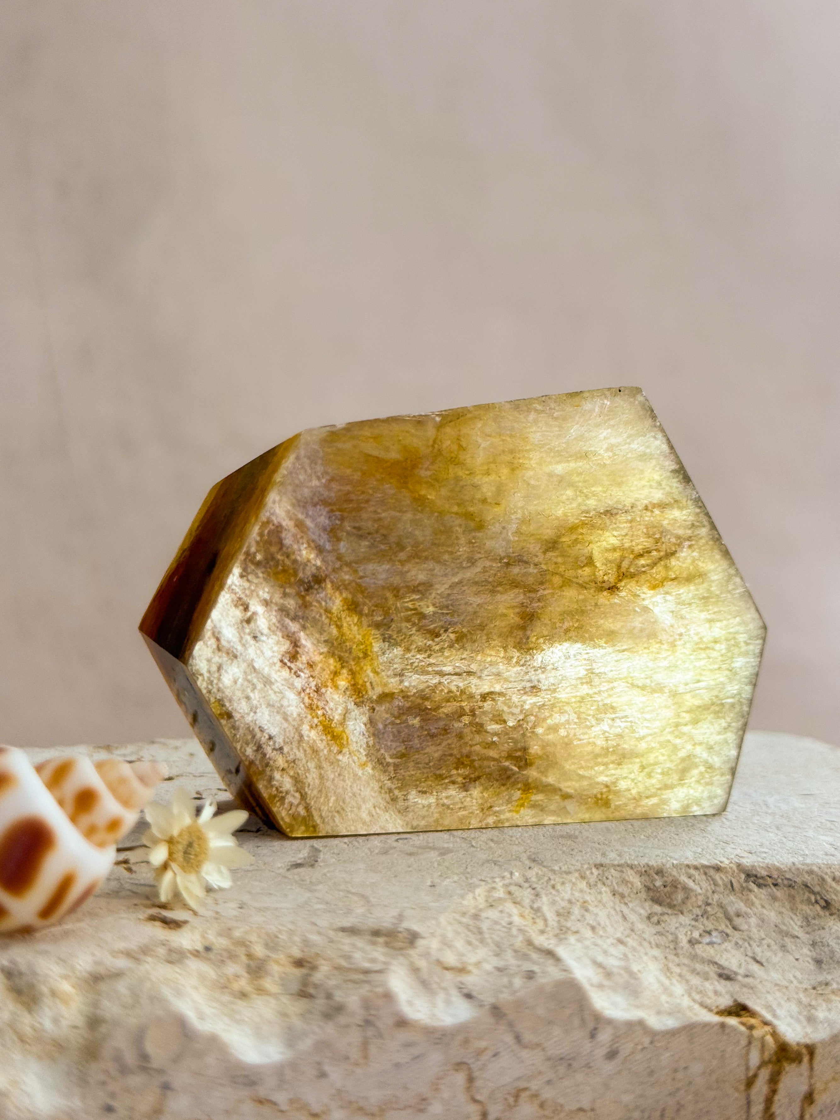 Golden Mica Faceted Freeform B | Brazil