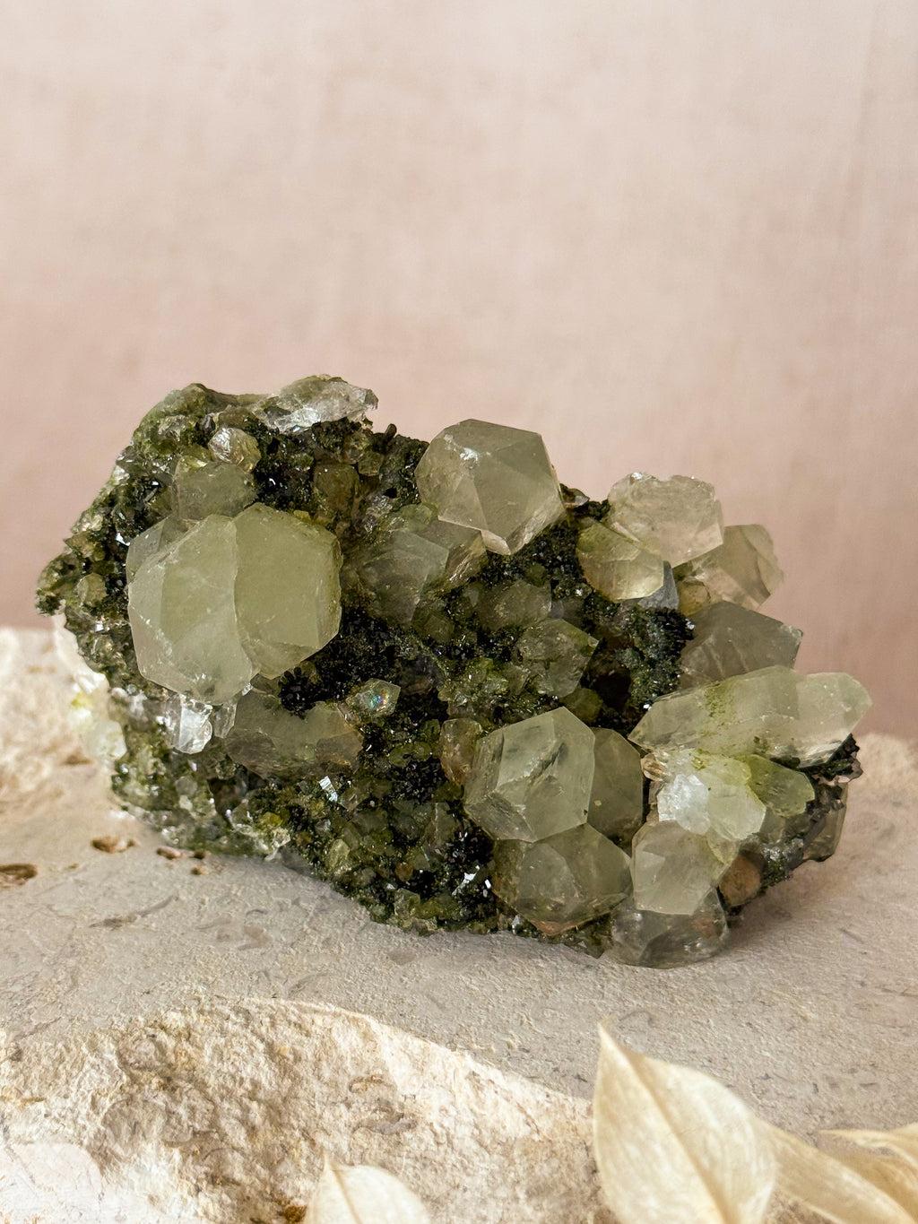 Forest Epidote in Quartz | Turkey