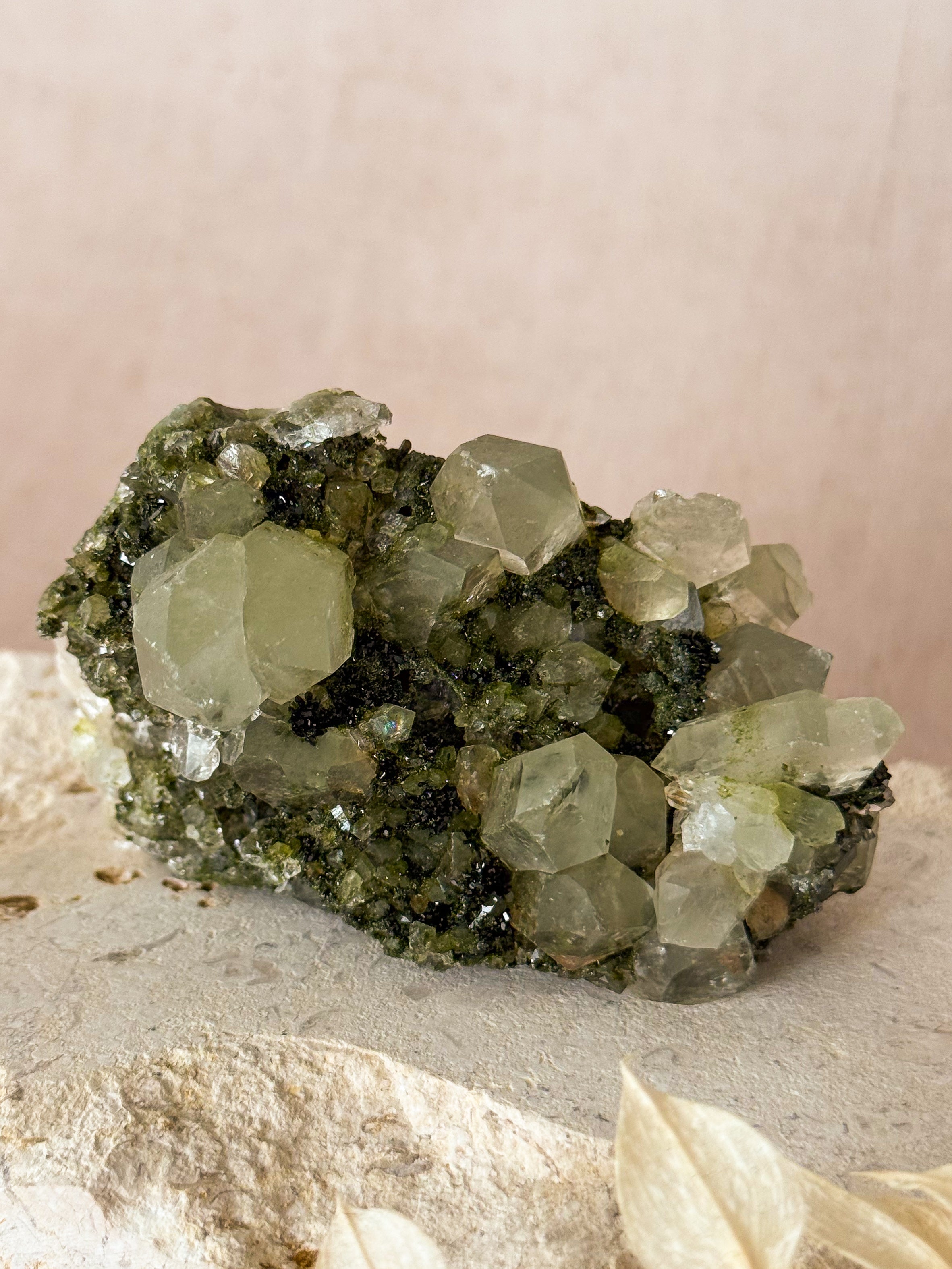Forest Epidote in Quartz | Turkey