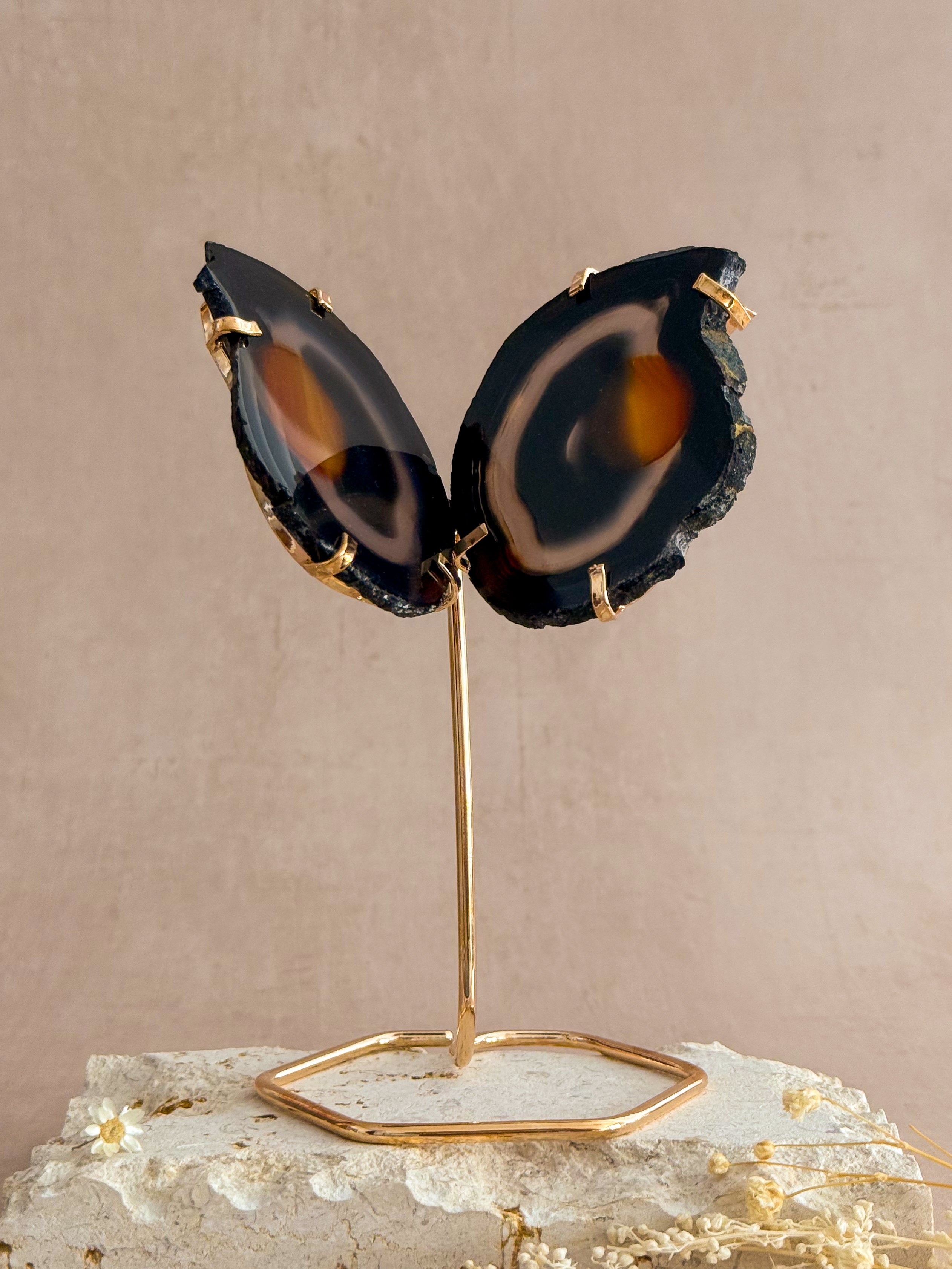 Agate Butterfly on Gold Stand | Brazil