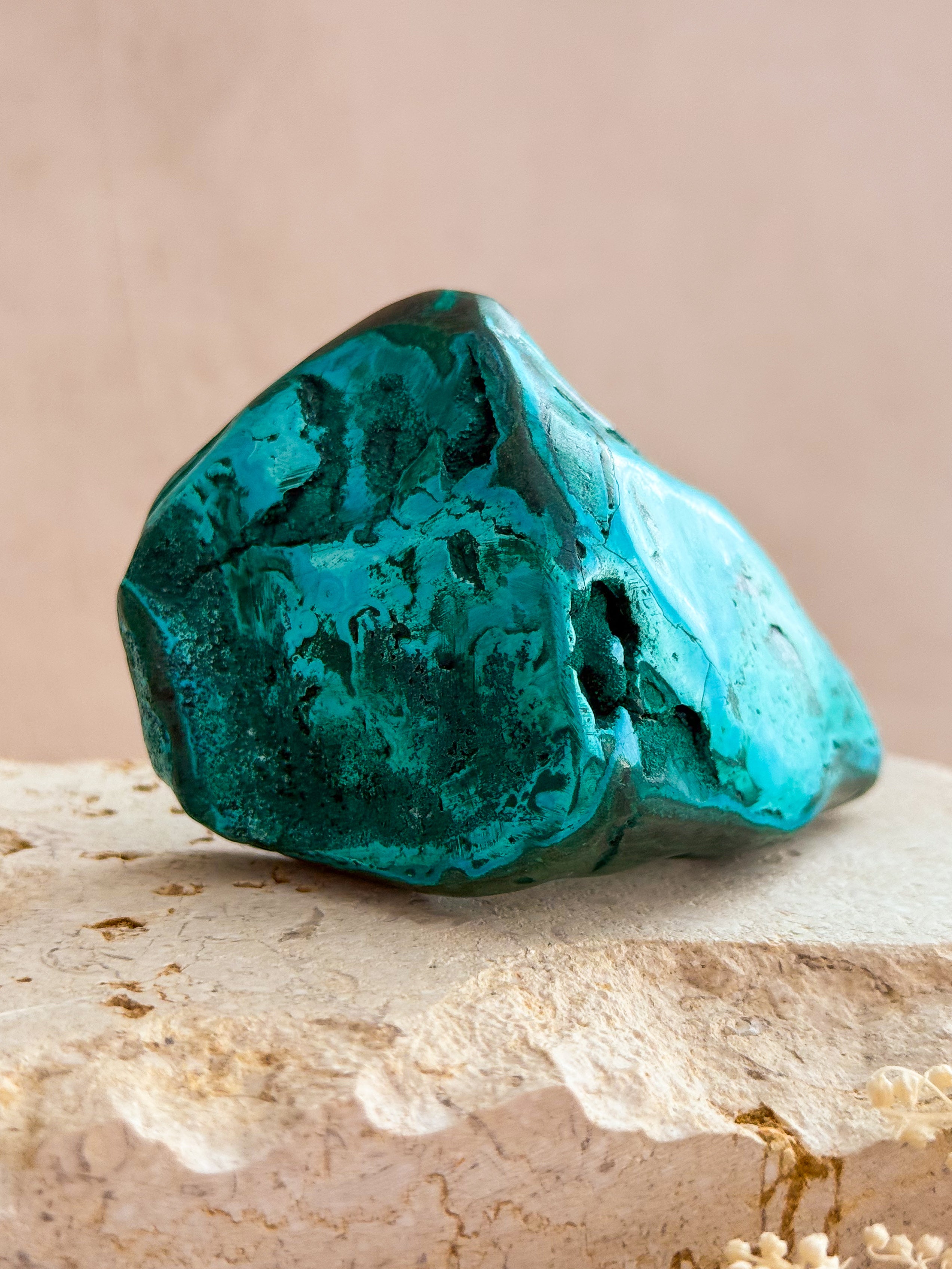 Malacolla Freeform | Congo