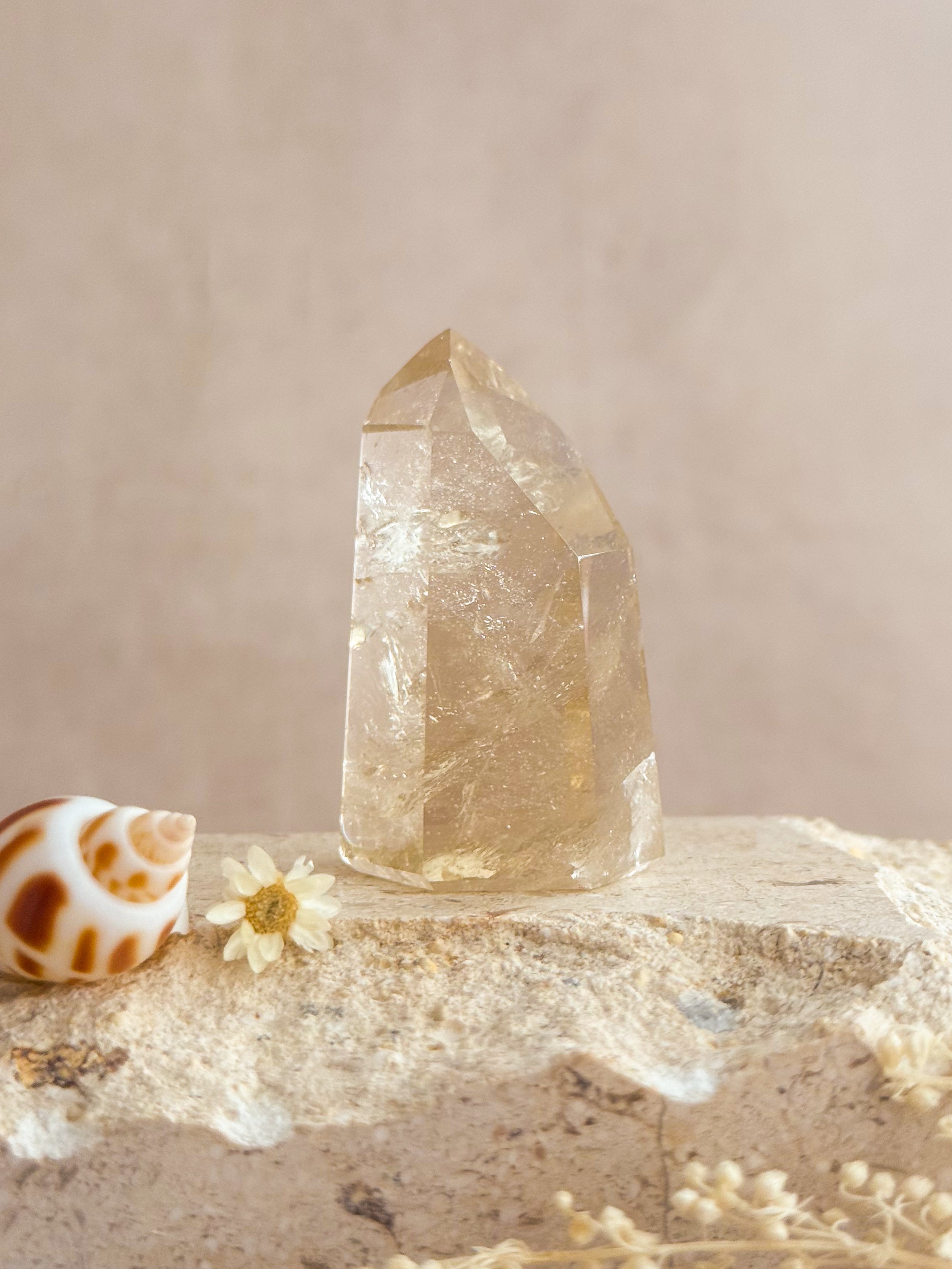 Citrine Point With Rainbows B | Madagascar