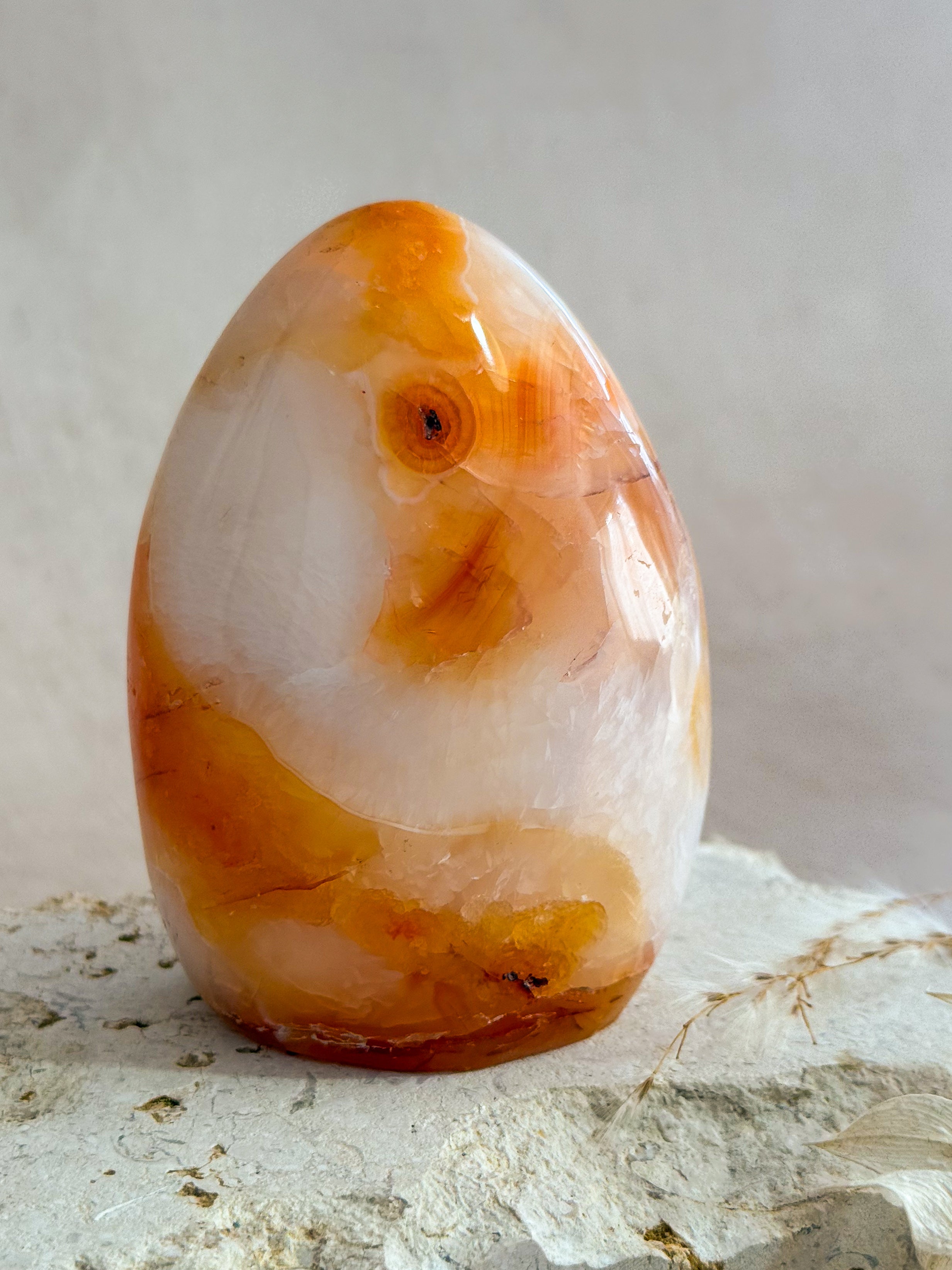 Carnelian Freeform | Madagascar
