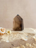 Smoky Lemurian Quartz Point With Phantoms A | Brazil